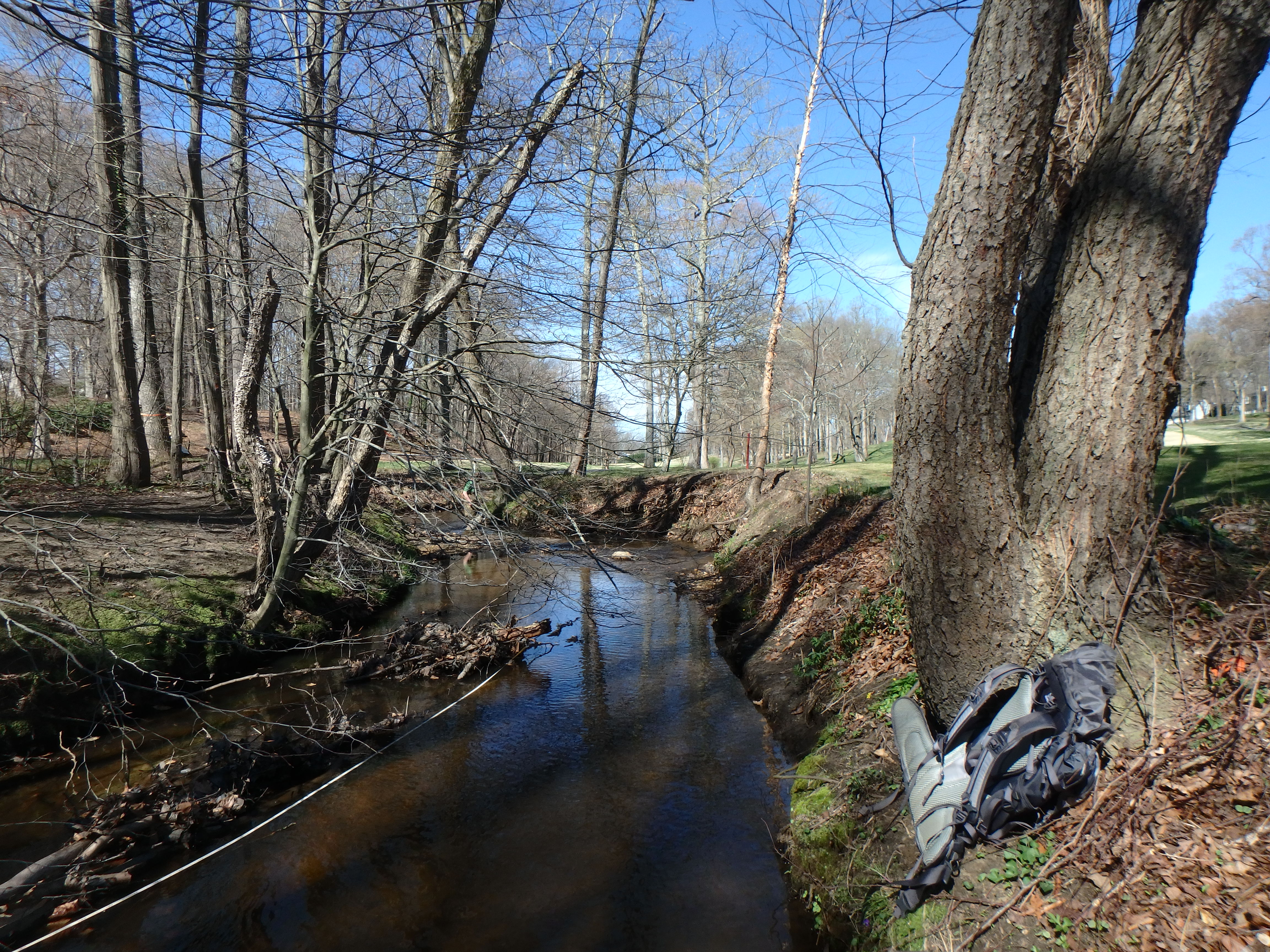 Field photo showing stream conditions at site LPAX-117-R-2017-MidpointLookingDownstream