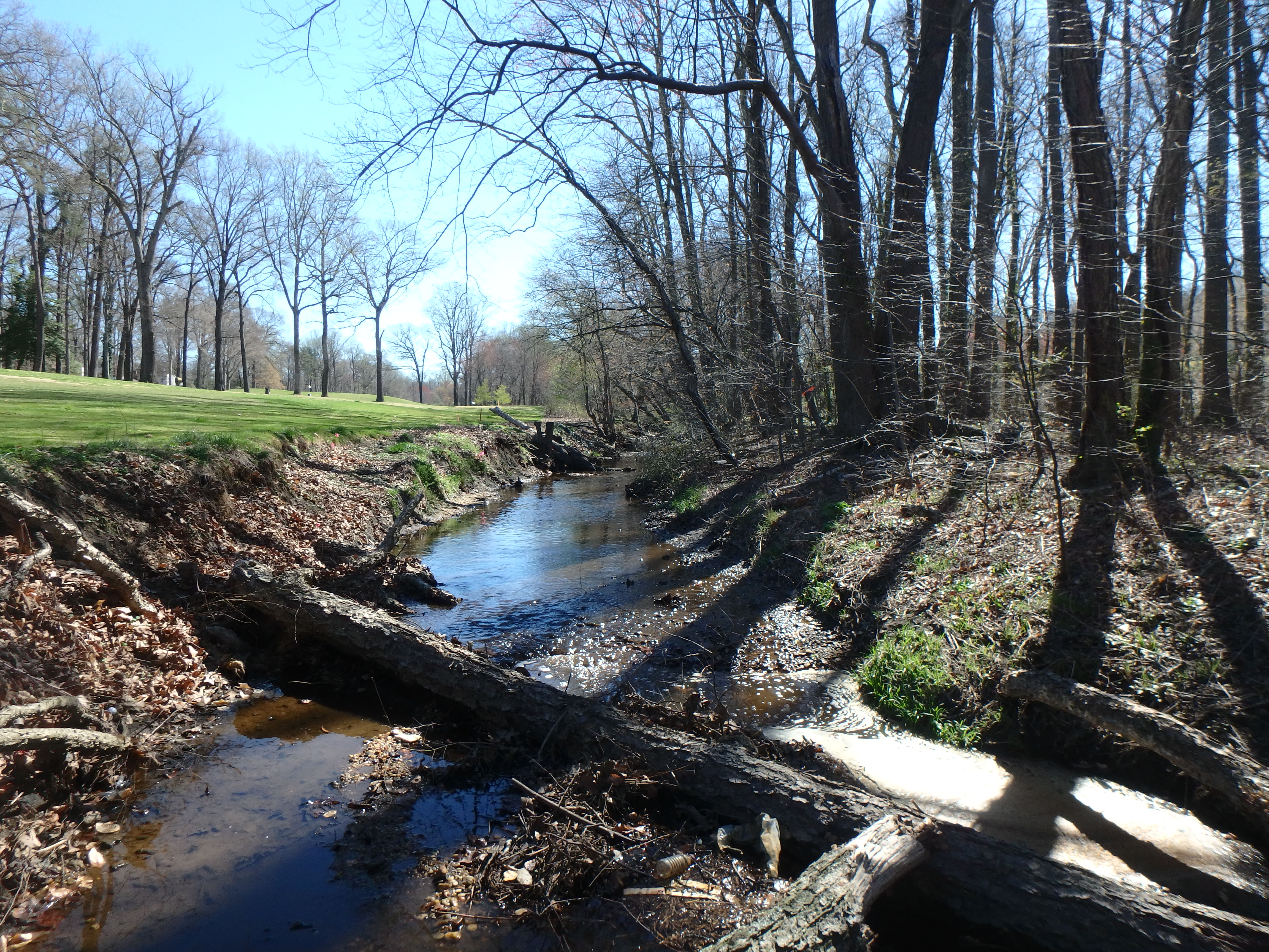 Field photo showing stream conditions at site LPAX-117-R-2017-MidpointLookingUpstream