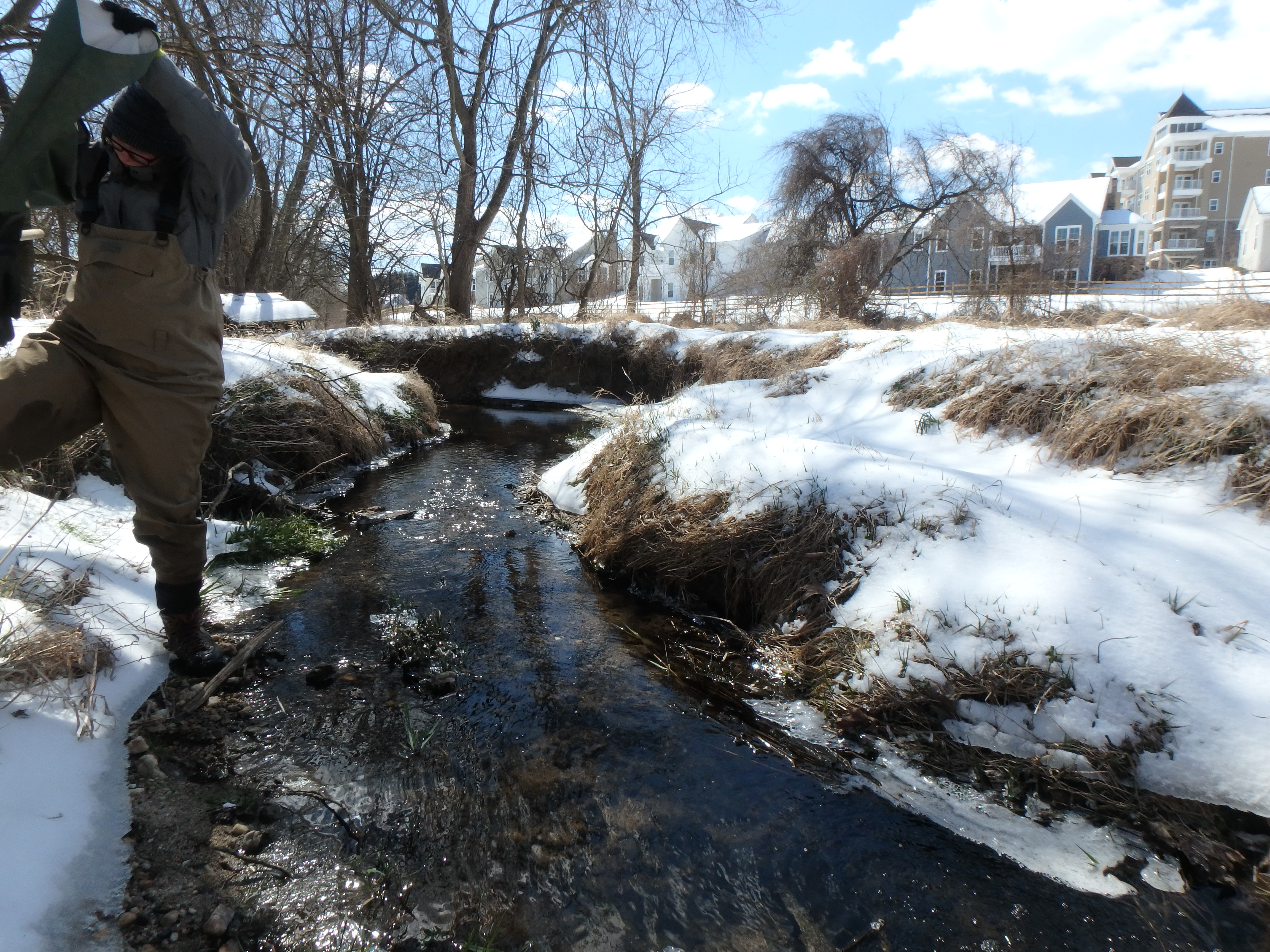 Field photo showing stream conditions at site LPAX-120-R-2017-MidpointLookingDownstream