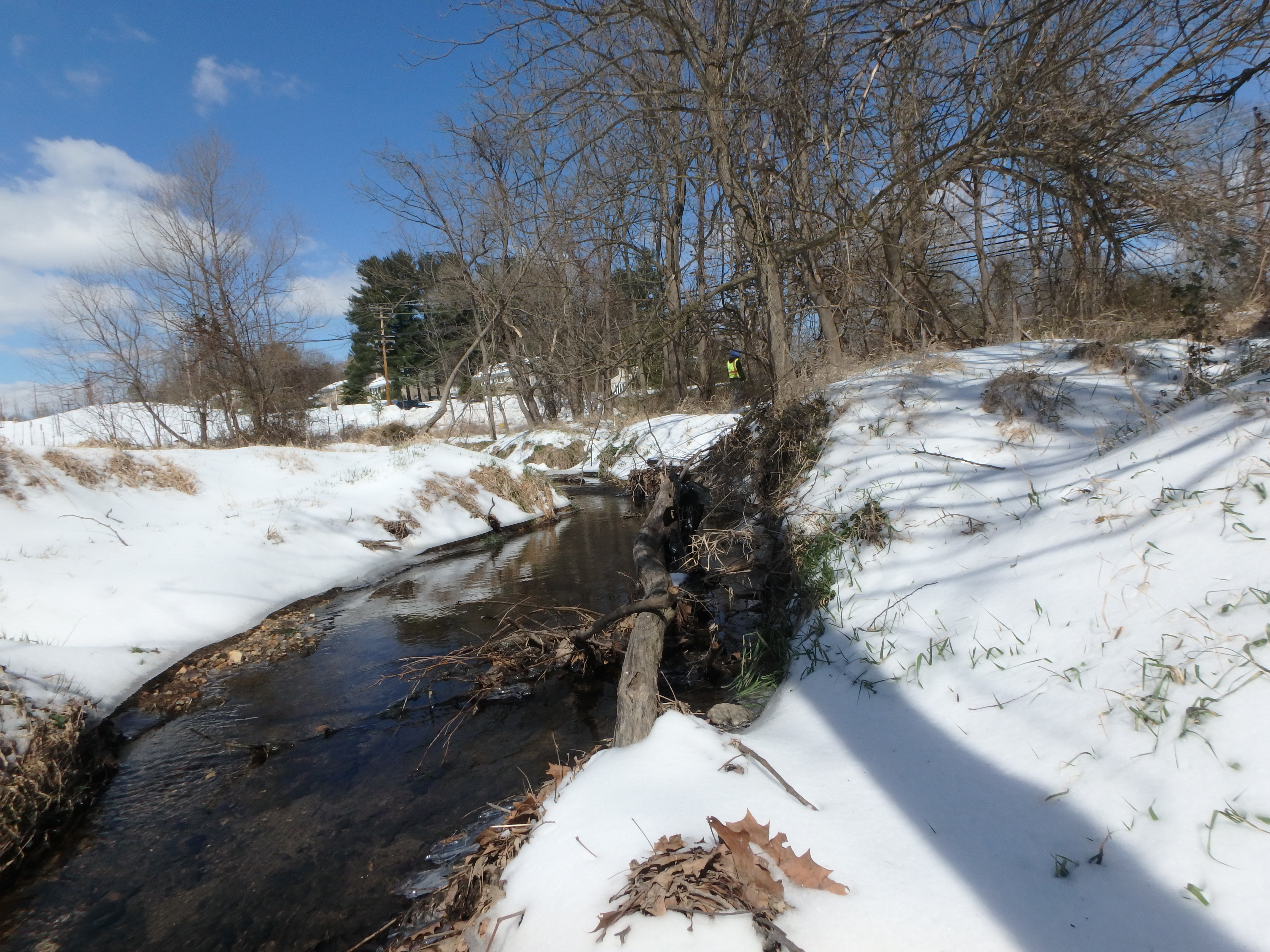 Field photo showing stream conditions at site LPAX-120-R-2017-MidpointLookingUpstream