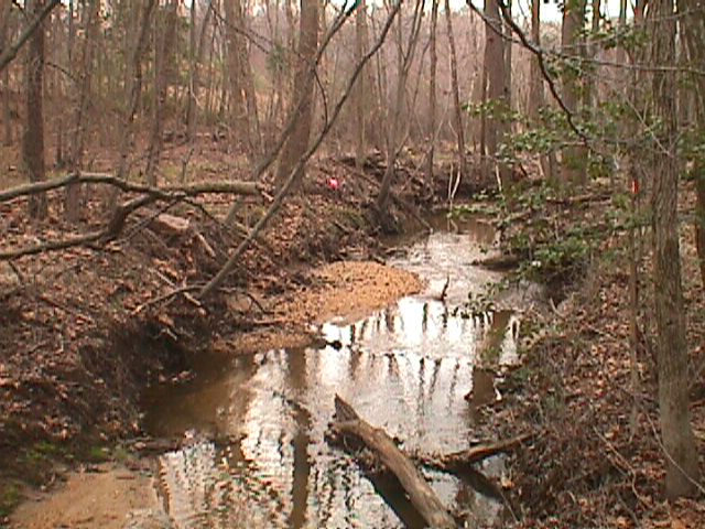 Field photo showing stream conditions at site LPAX-203-R-2000-08_02