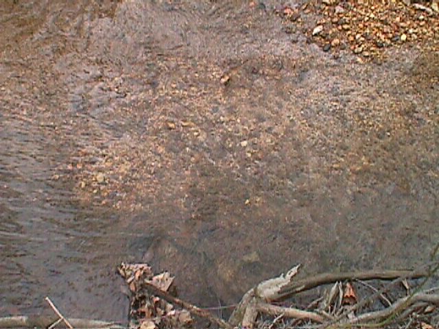Field photo showing stream conditions at site LPAX-203-R-2000-08_03