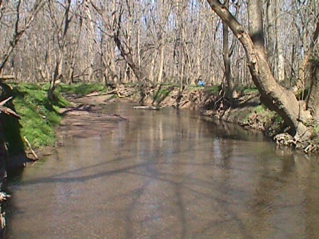Field photo showing stream conditions at site LPAX-204-R-2000-07_15