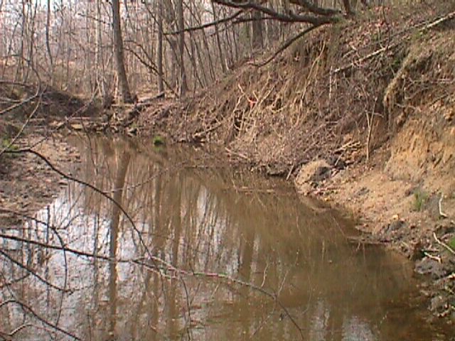 Field photo showing stream conditions at site LPAX-206-R-2000-08_05