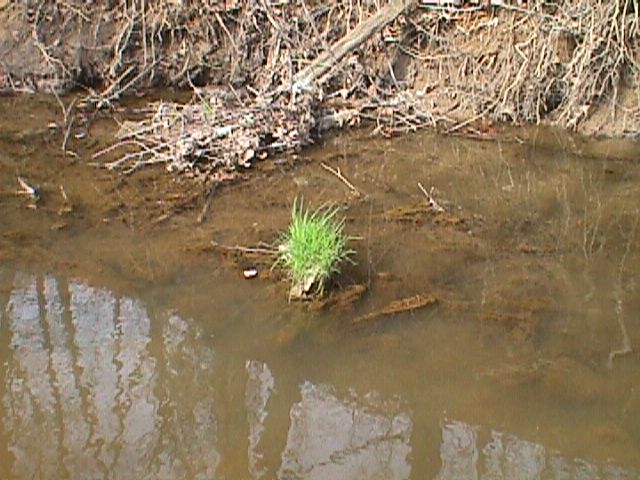 Field photo showing stream conditions at site LPAX-206-R-2000-08_07
