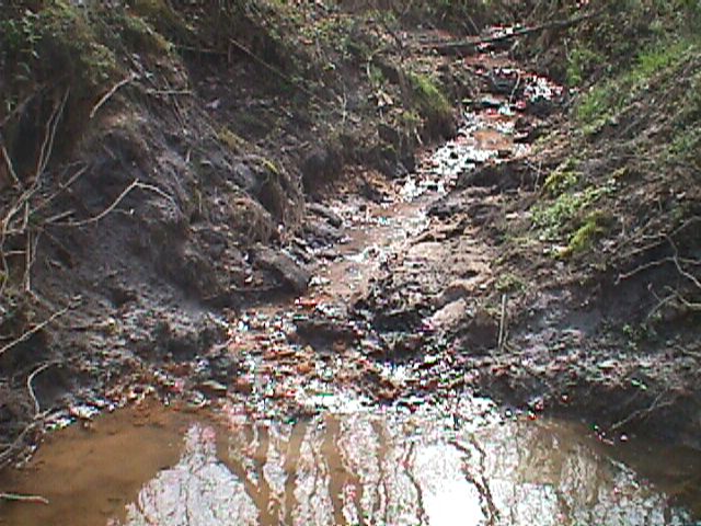 Field photo showing stream conditions at site LPAX-206-R-2000-08_08