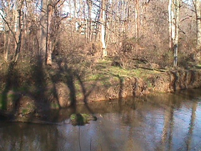 Field photo showing stream conditions at site LPAX-217-R-2000-06_11