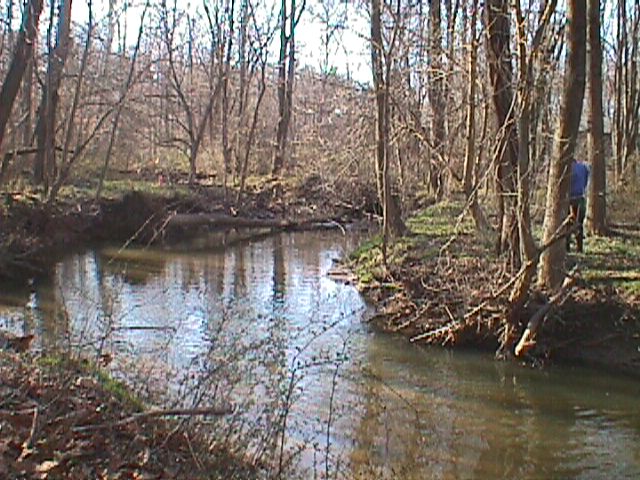 Field photo showing stream conditions at site LPAX-217-R-2000-06_12