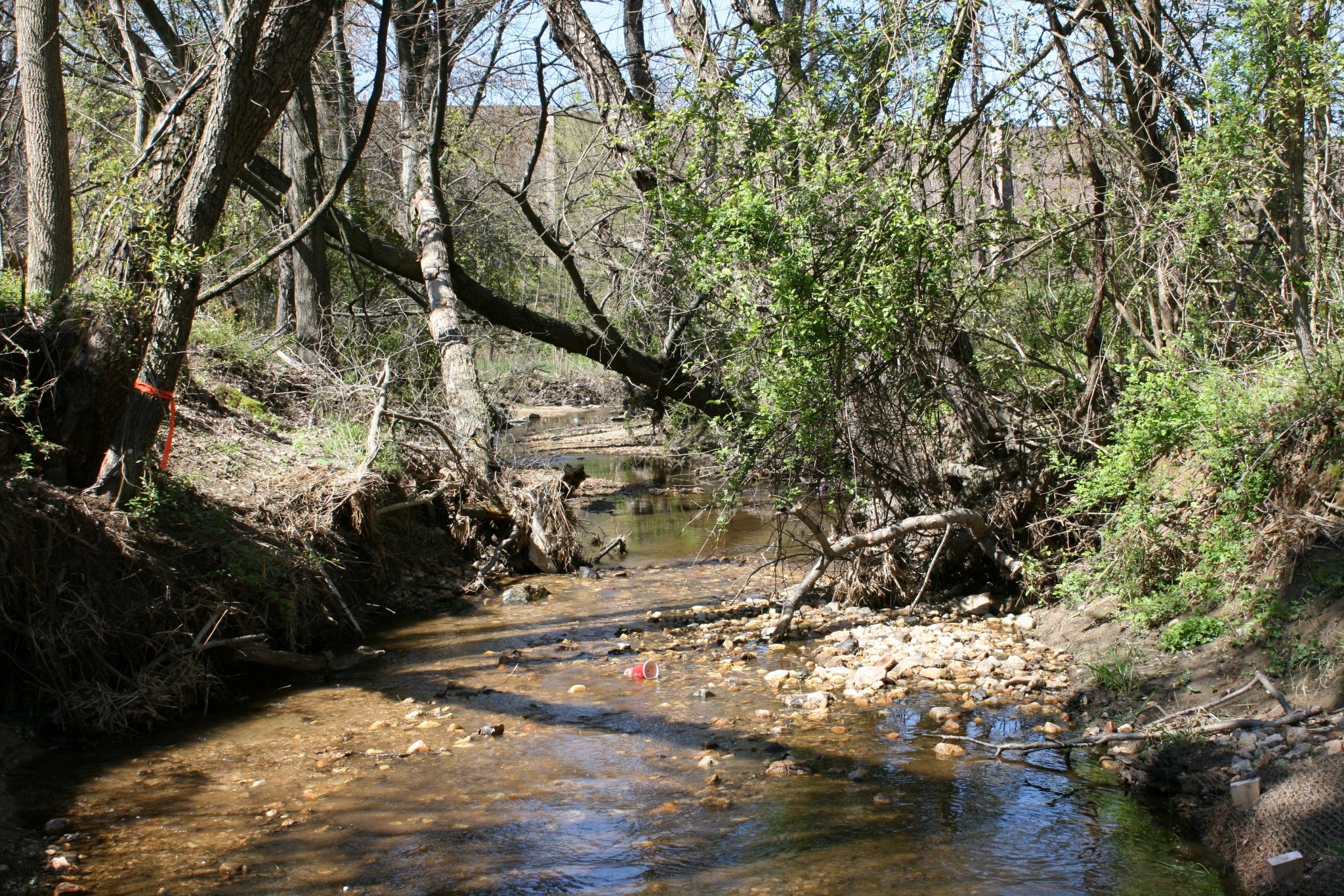 Field photo showing stream conditions at site LPAX-287-X-2012_Mid-point_Downstream