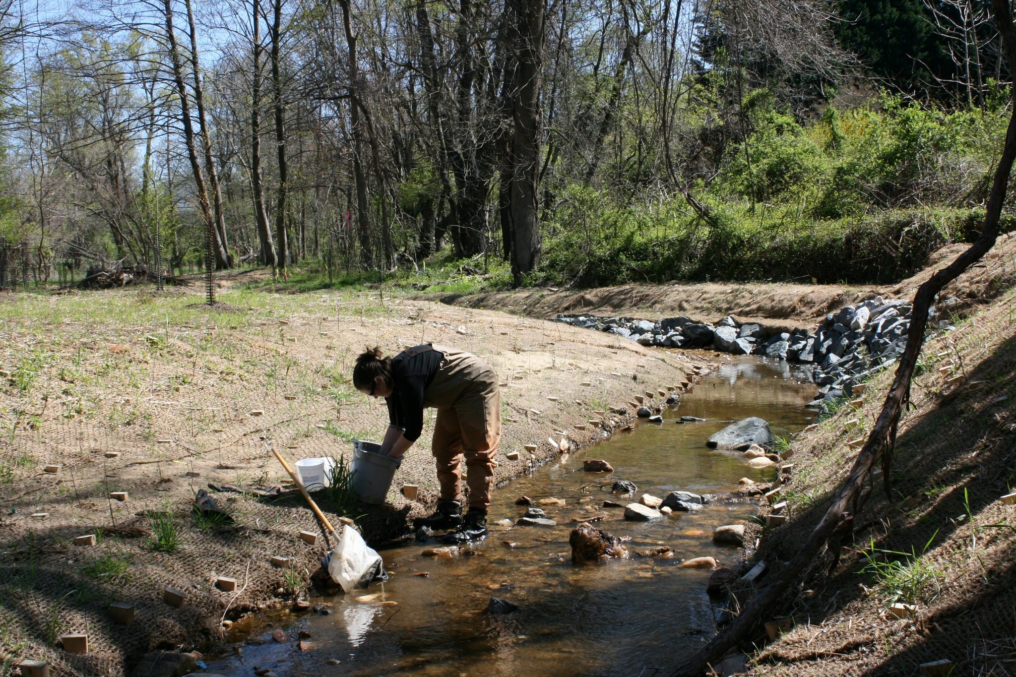 Field photo showing stream conditions at site LPAX-287-X-2012_Mid-point_Upstream