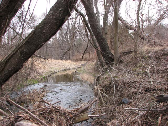 Field photo showing stream conditions at site LPAX-287-X-2013-1