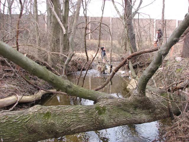 Field photo showing stream conditions at site LPAX-287-X-2013-2