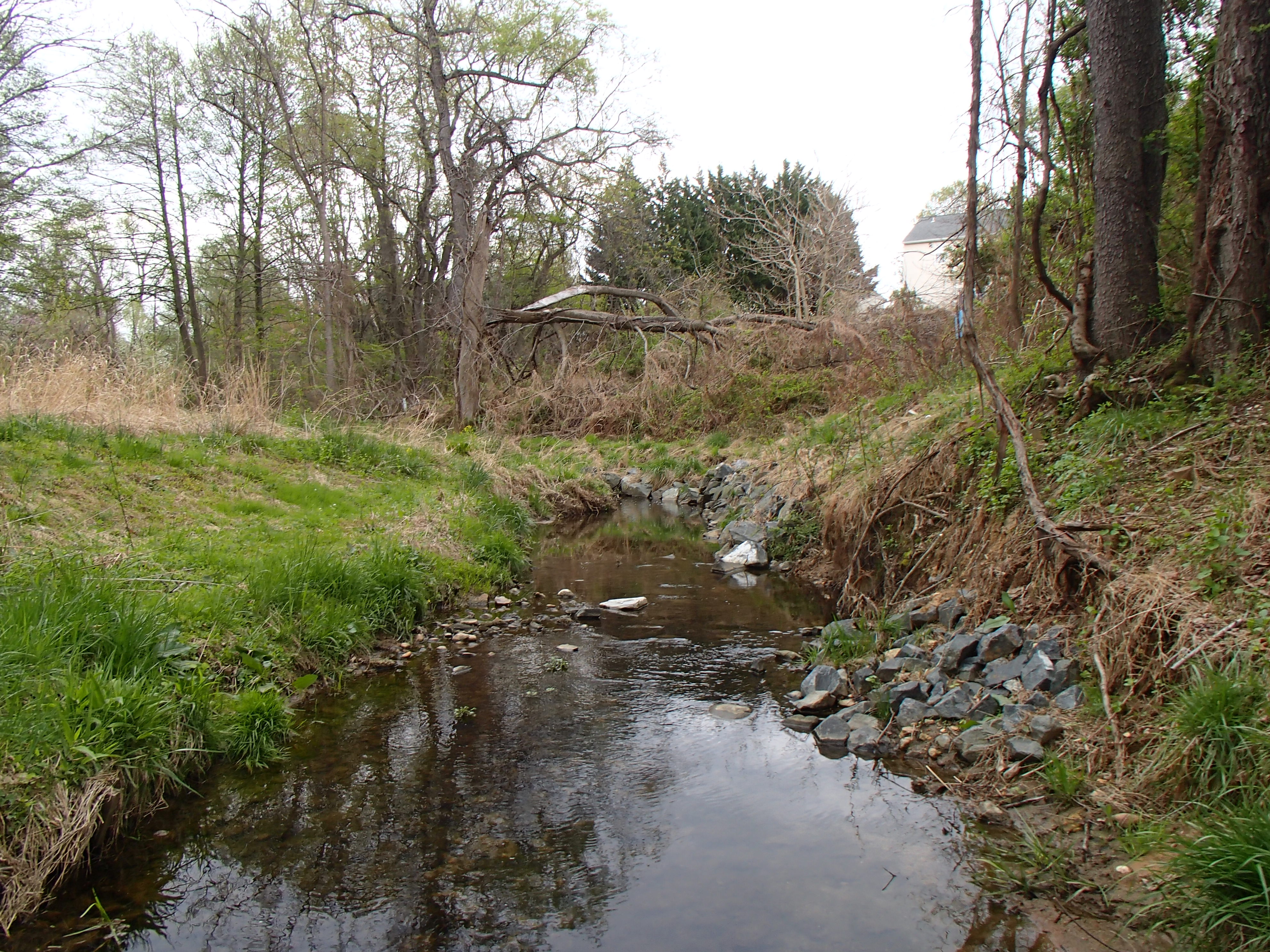 Field photo showing stream conditions at site LPAX-287-X-2015_Midpoint-upstream
