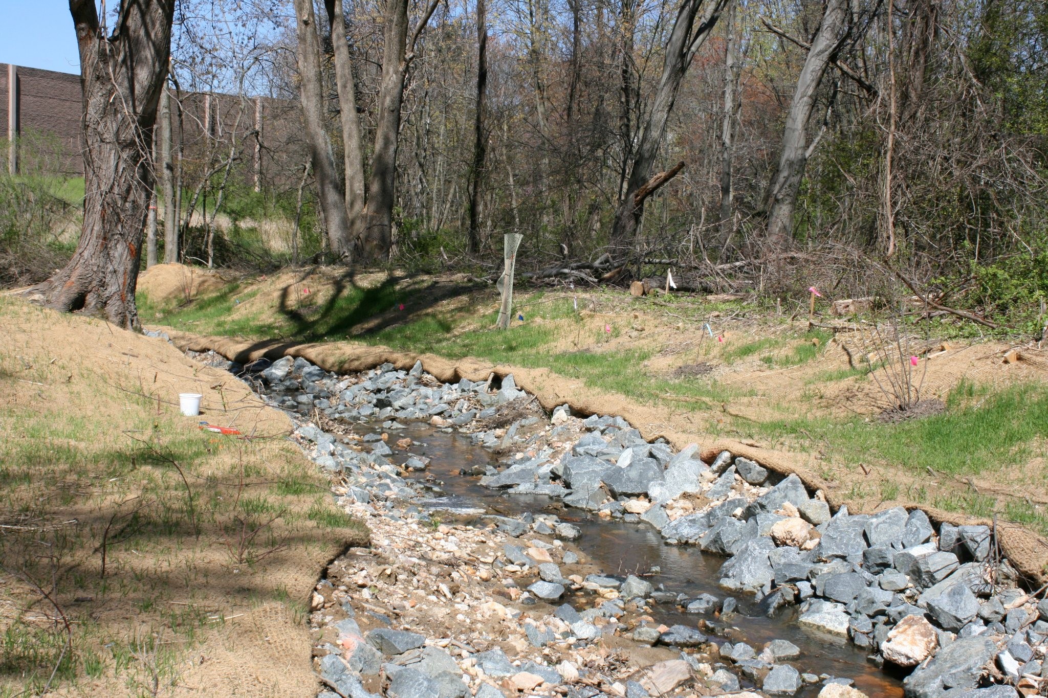 Field photo showing stream conditions at site LPAX-288-X-2012_Mid-pointDownstream