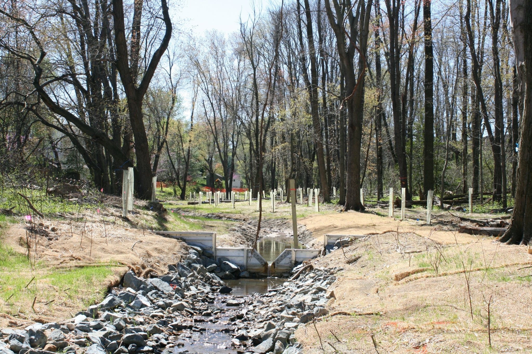 Field photo showing stream conditions at site LPAX-288-X-2012_Mid-pointUpstream