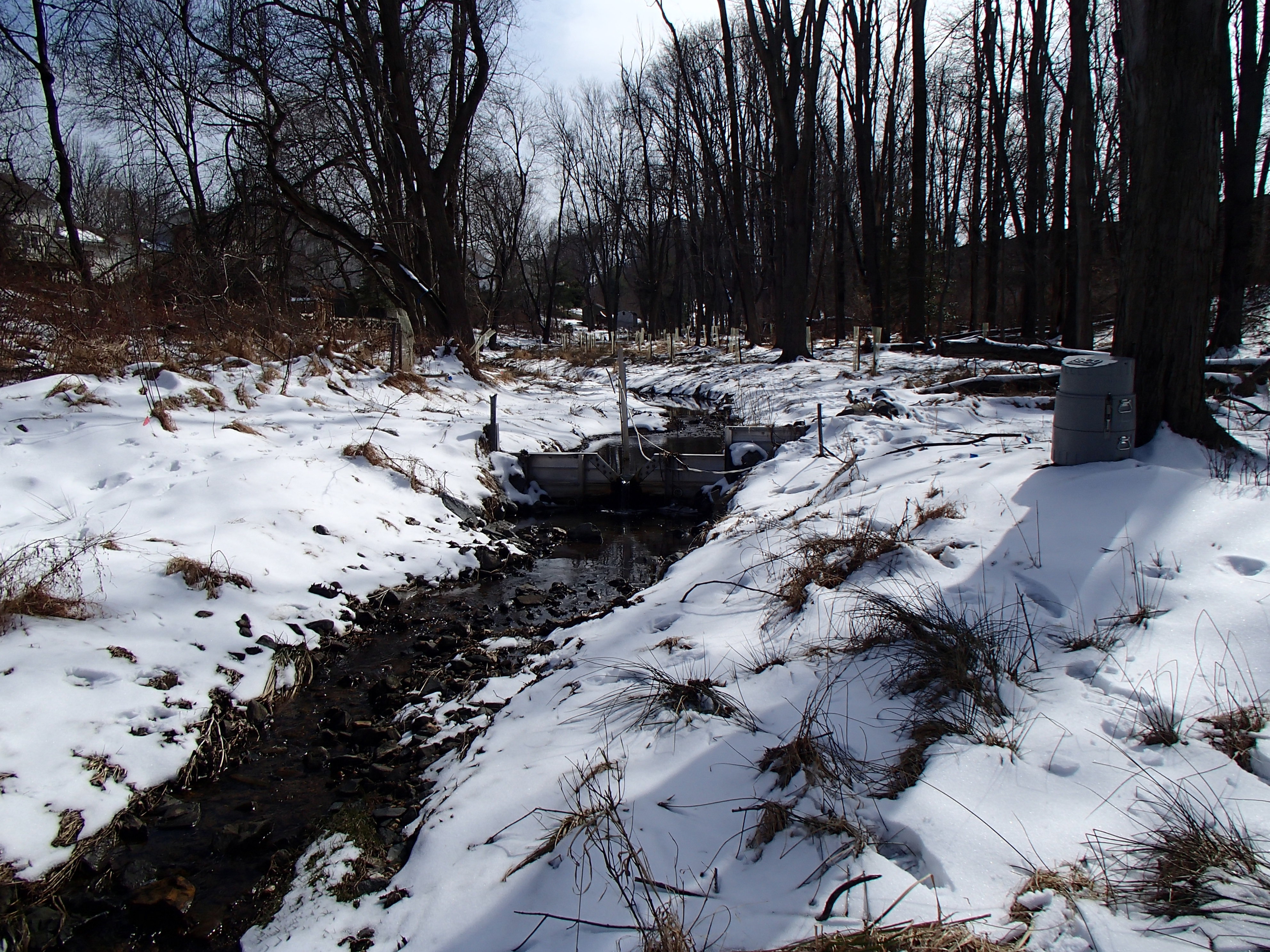 Field photo showing stream conditions at site LPAX-288-X-2014-1