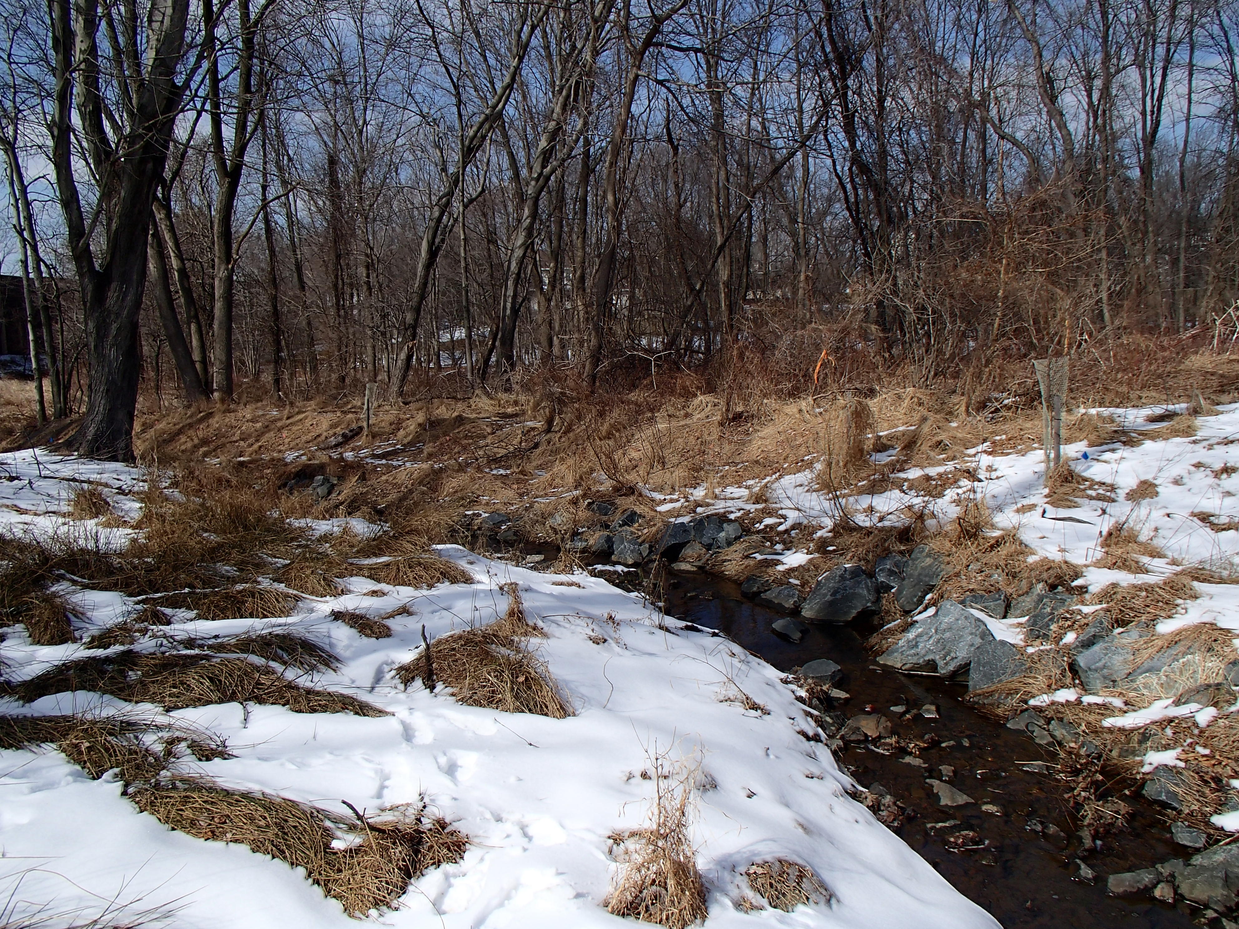 Field photo showing stream conditions at site LPAX-288-X-2014-2