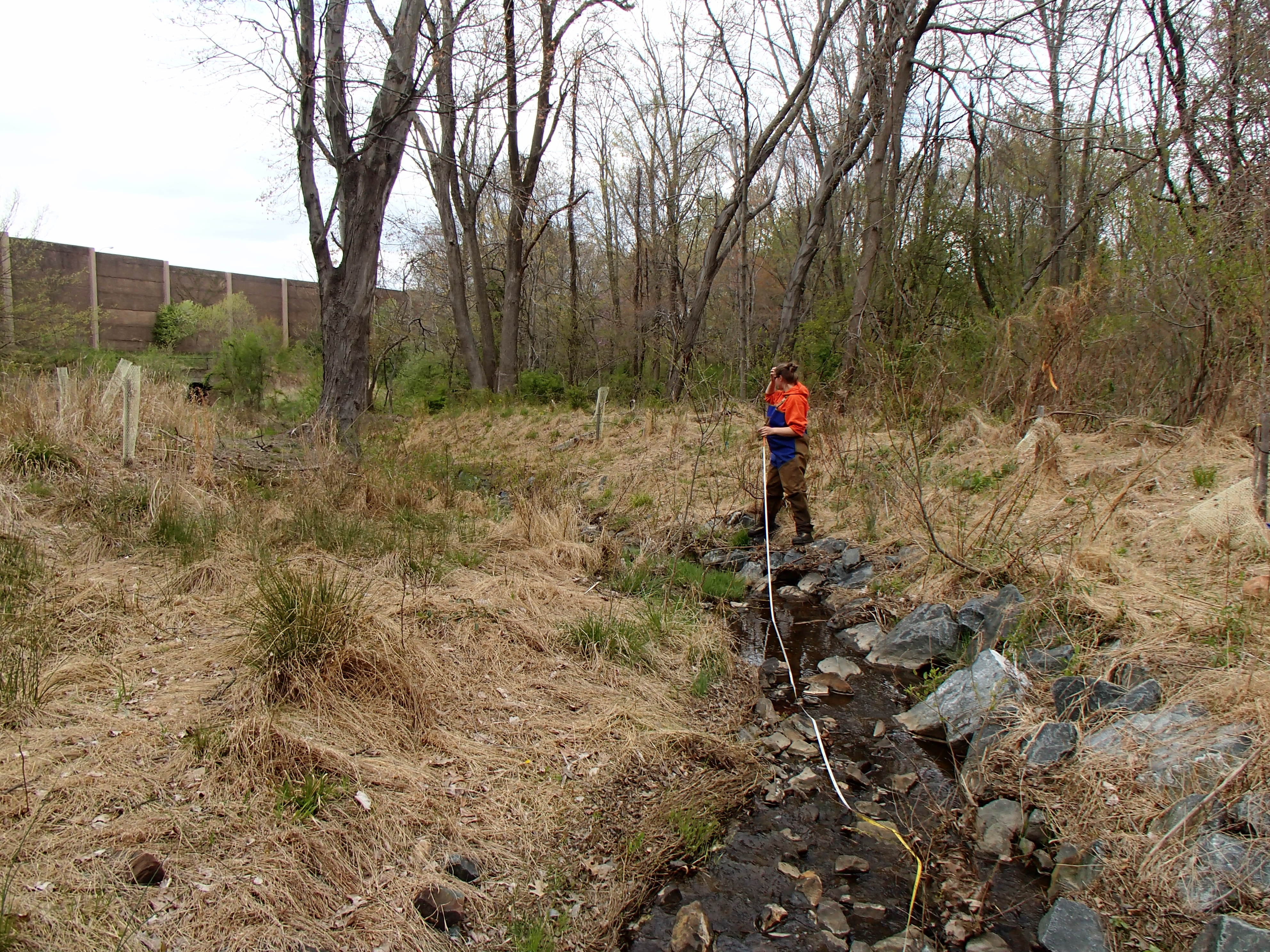 Field photo showing stream conditions at site LPAX-288-X-2015_Midpoint-downstream