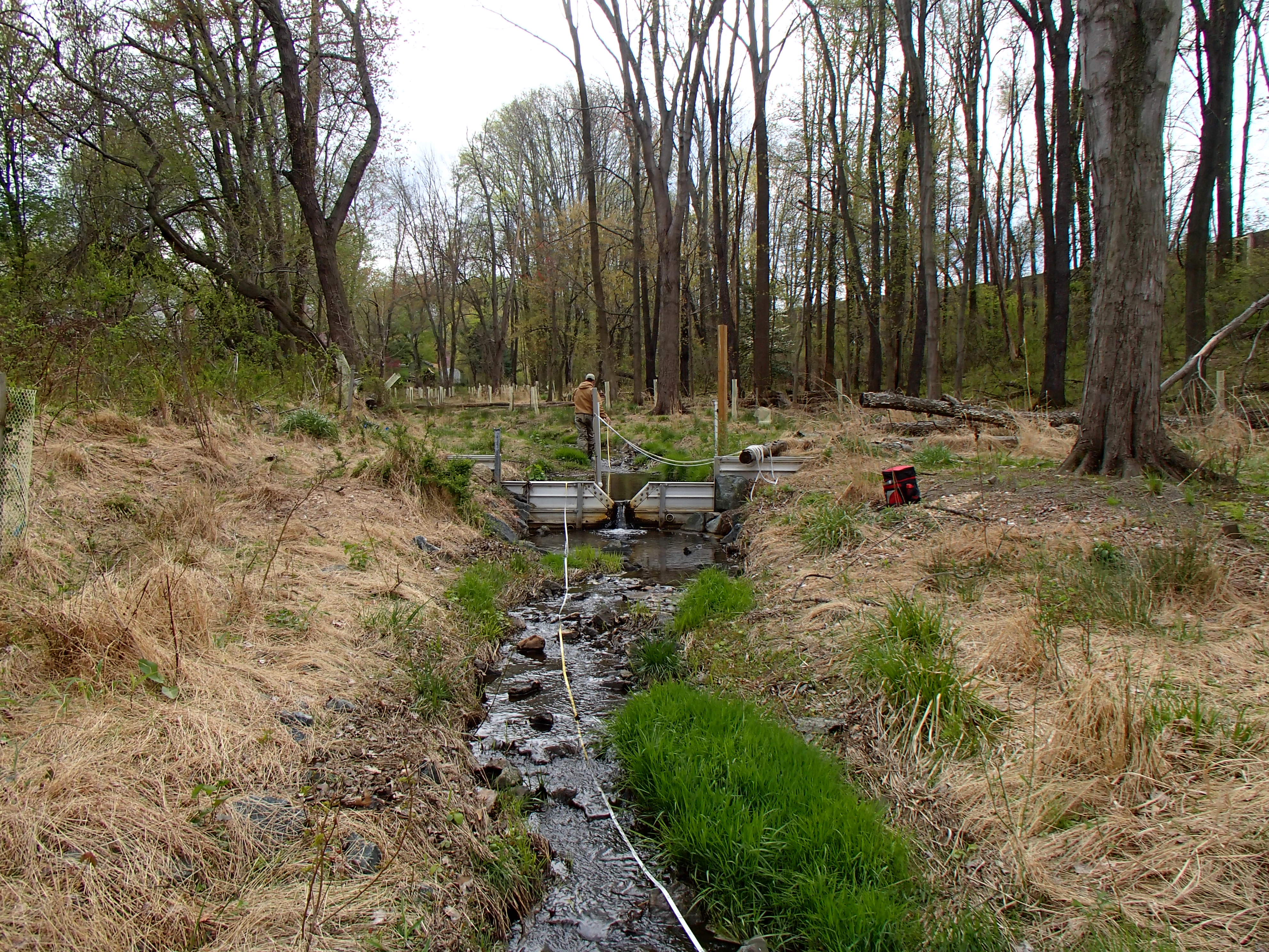 Field photo showing stream conditions at site LPAX-288-X-2015_Midpoint-upstream