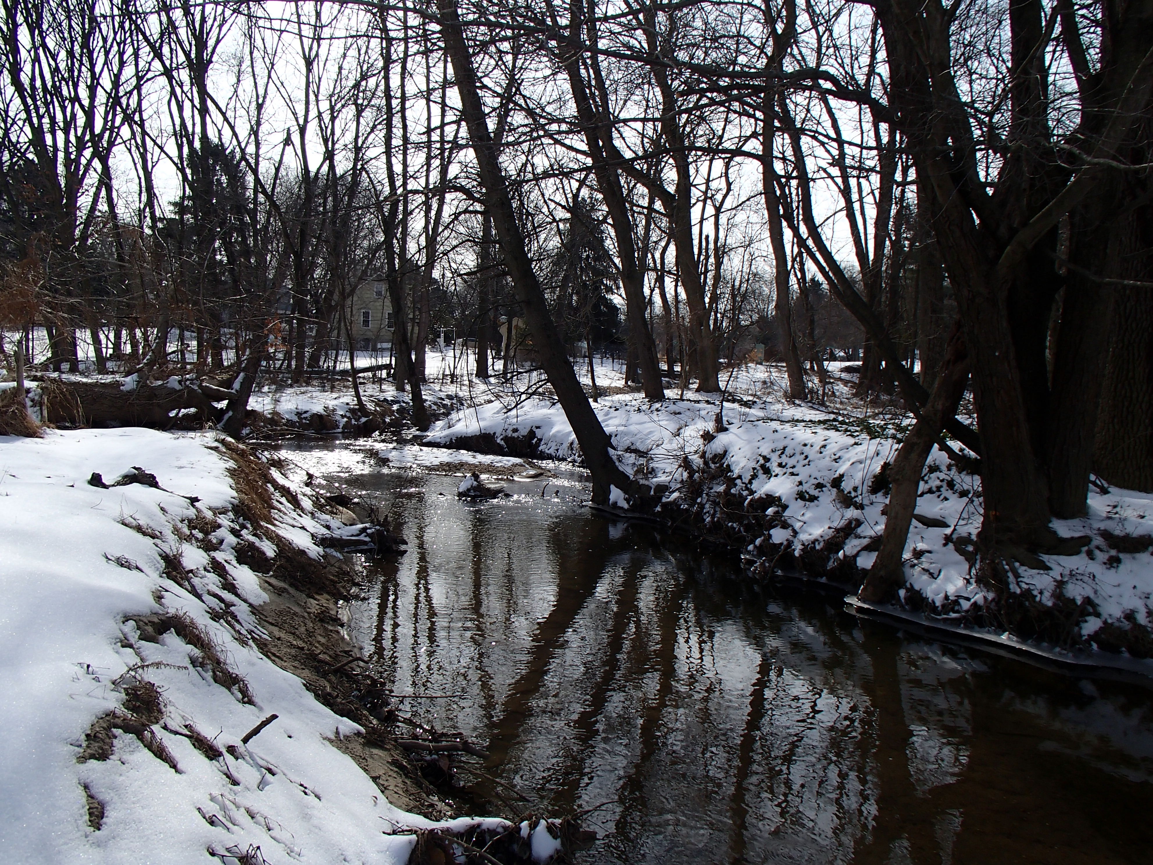 Field photo showing stream conditions at site LPAX-290-X-2014-1