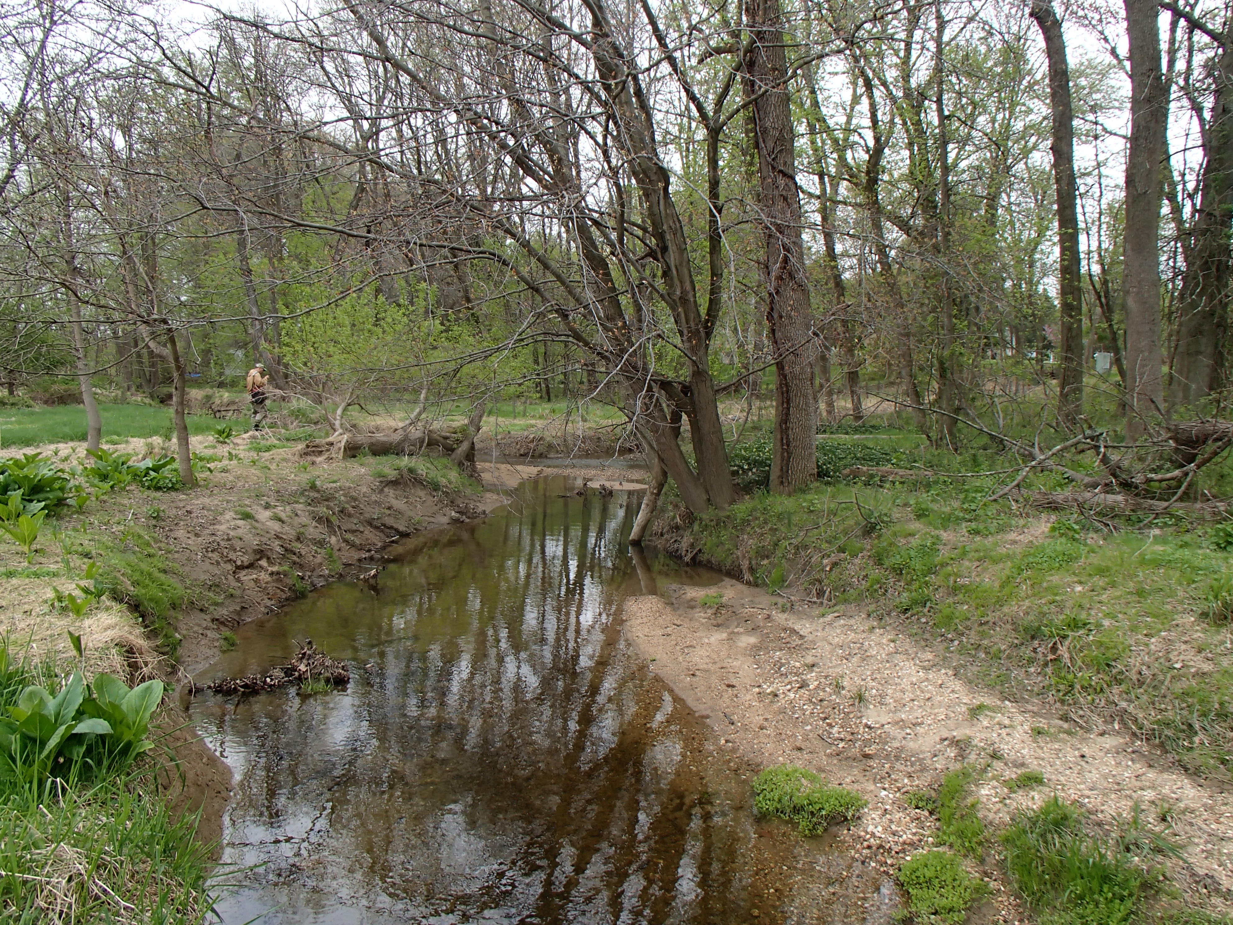 Field photo showing stream conditions at site LPAX-290-X-2015_Midpoint-upstream