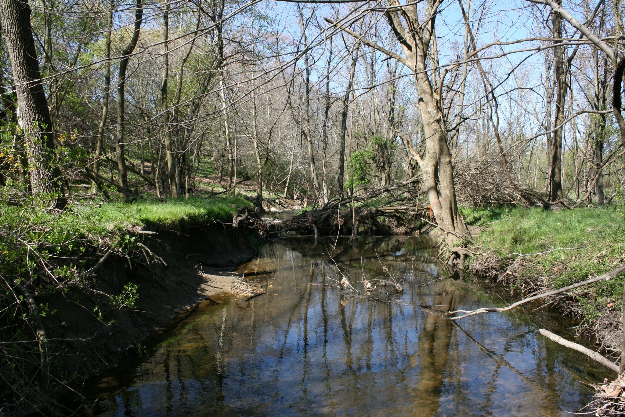 Field photo showing stream conditions at site LPAX-294-X-2012_Mid-point_Downstream