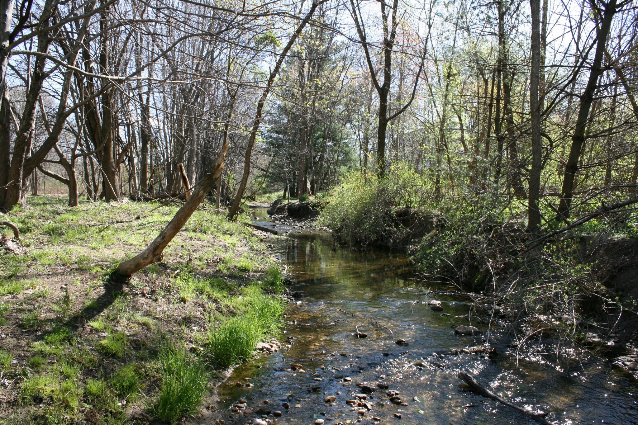 Field photo showing stream conditions at site LPAX-294-X-2012_Mid-point_Upstream
