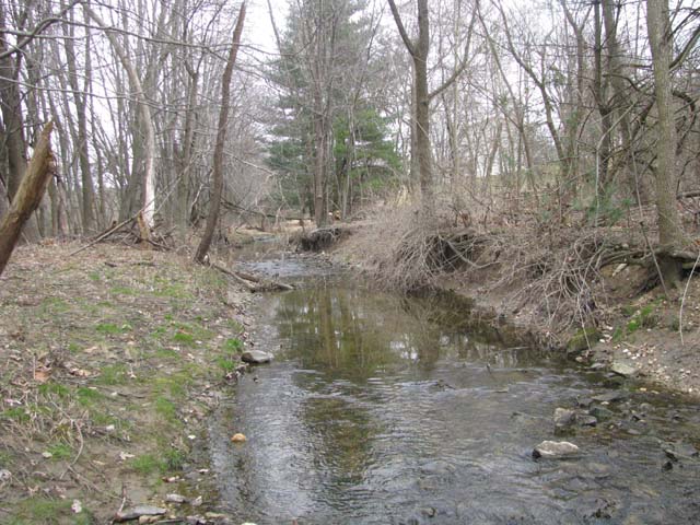 Field photo showing stream conditions at site LPAX-294-X-2013-1