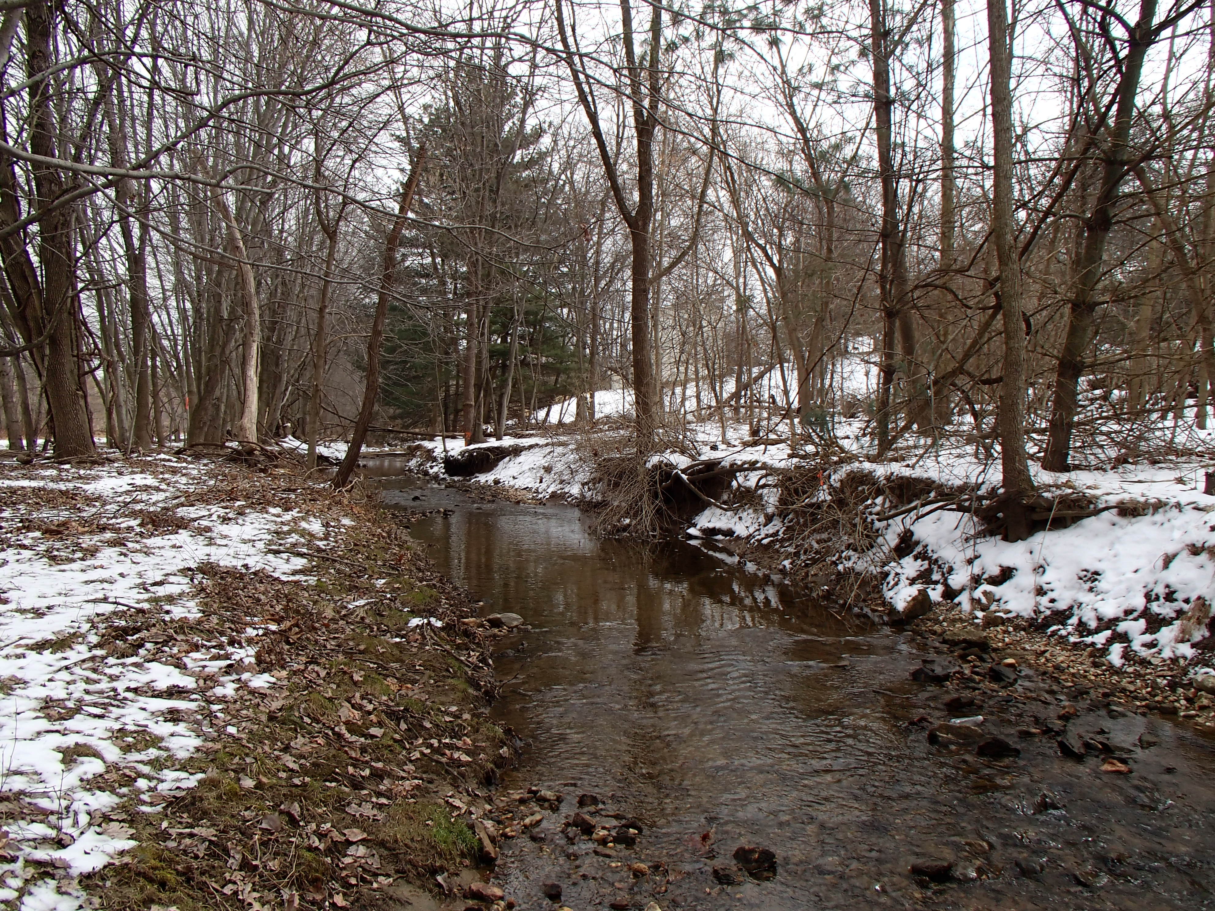 Field photo showing stream conditions at site LPAX-294-X-2014-1