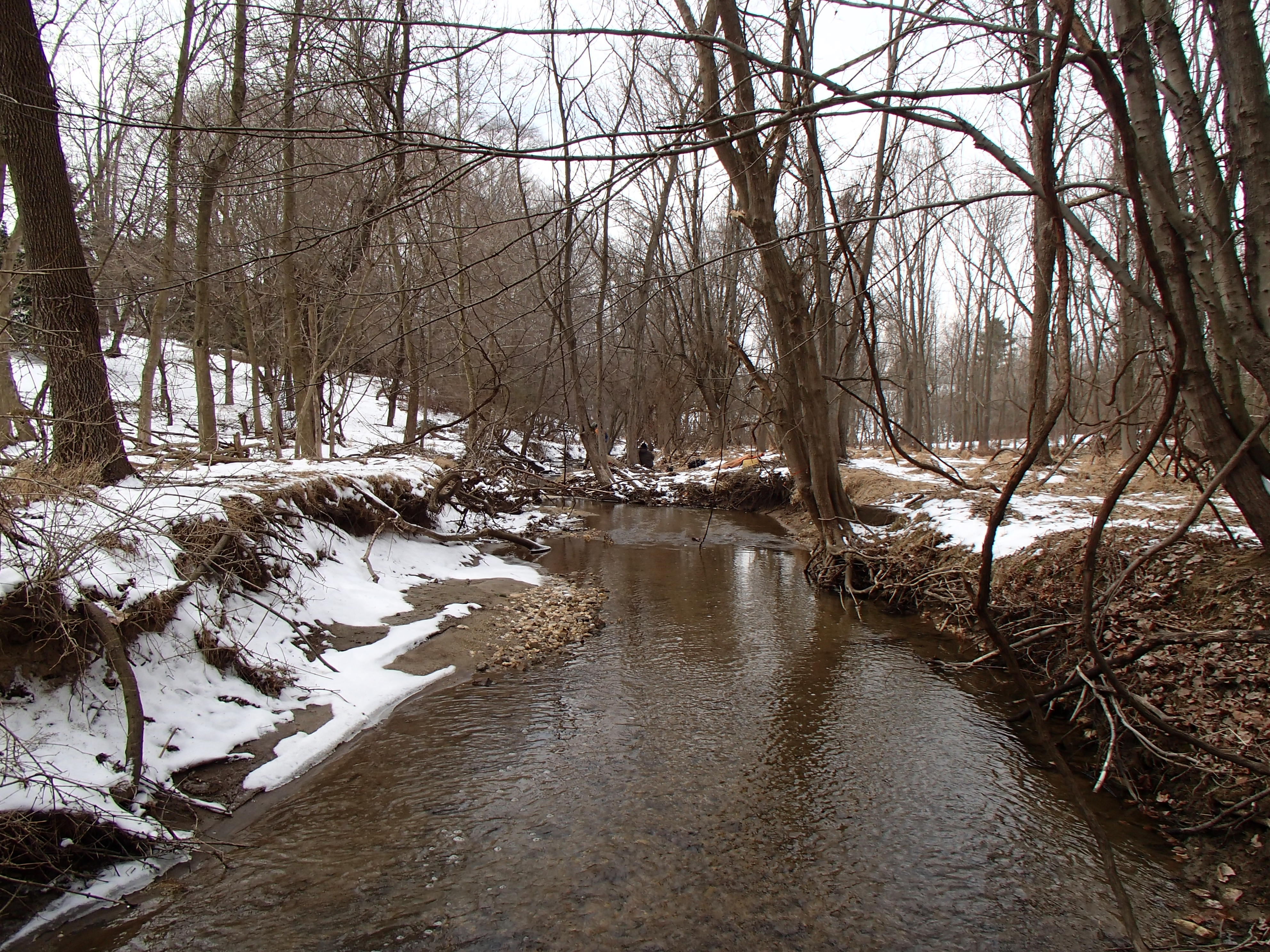 Field photo showing stream conditions at site LPAX-294-X-2014-2