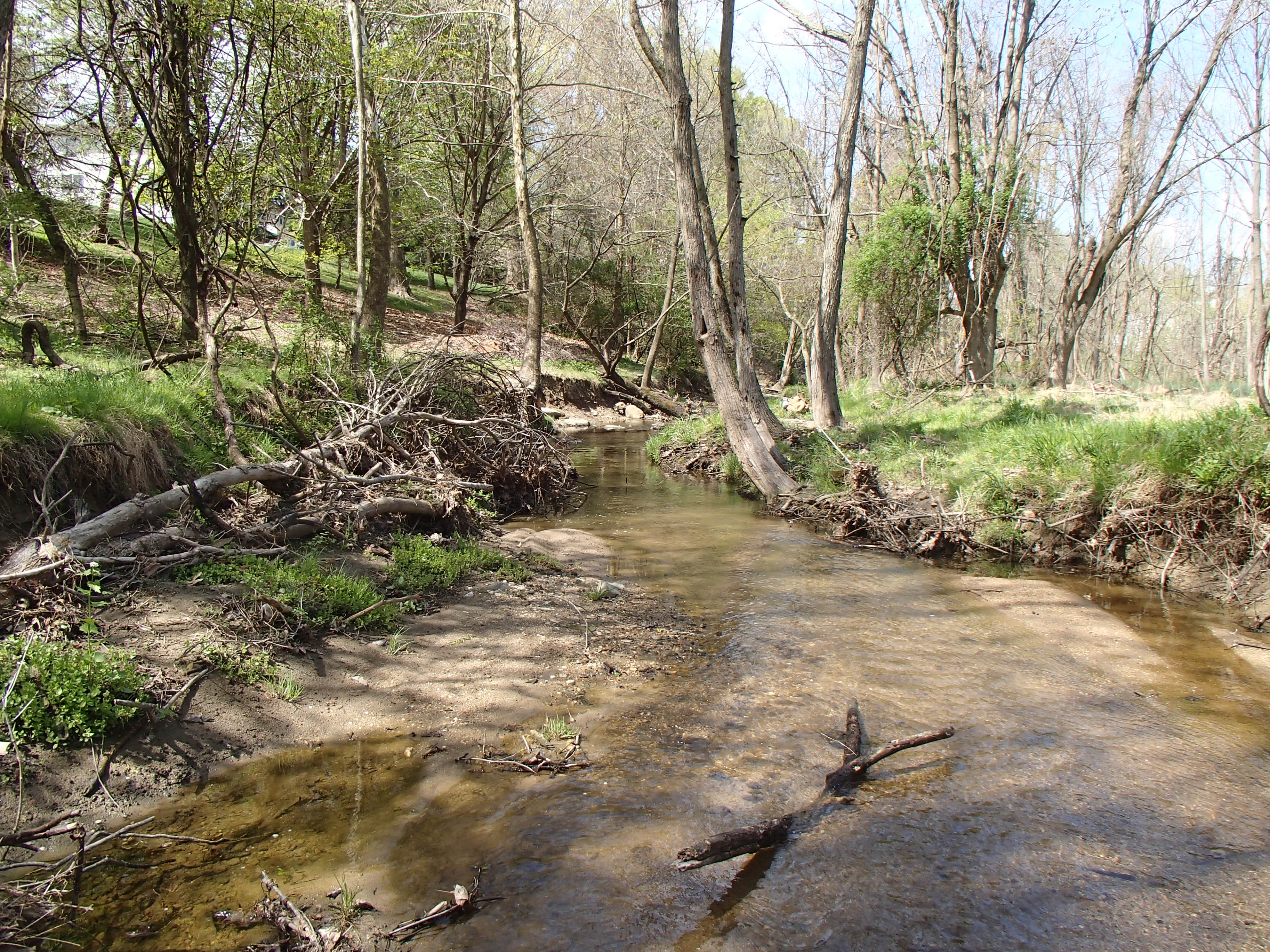 Field photo showing stream conditions at site LPAX-294-X-2015_Midpoint-looking-downstream