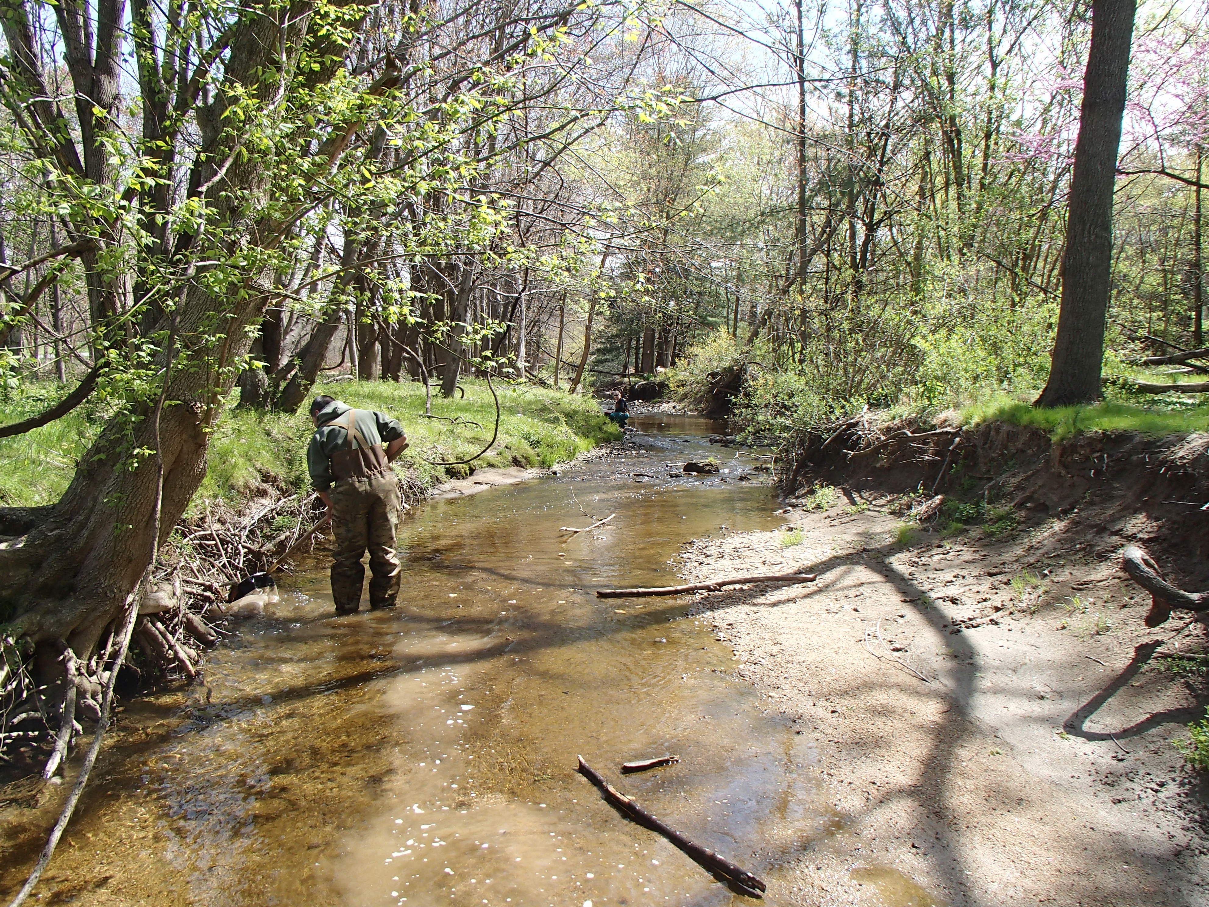Field photo showing stream conditions at site LPAX-294-X-2015_Midpoint-looking-upstream