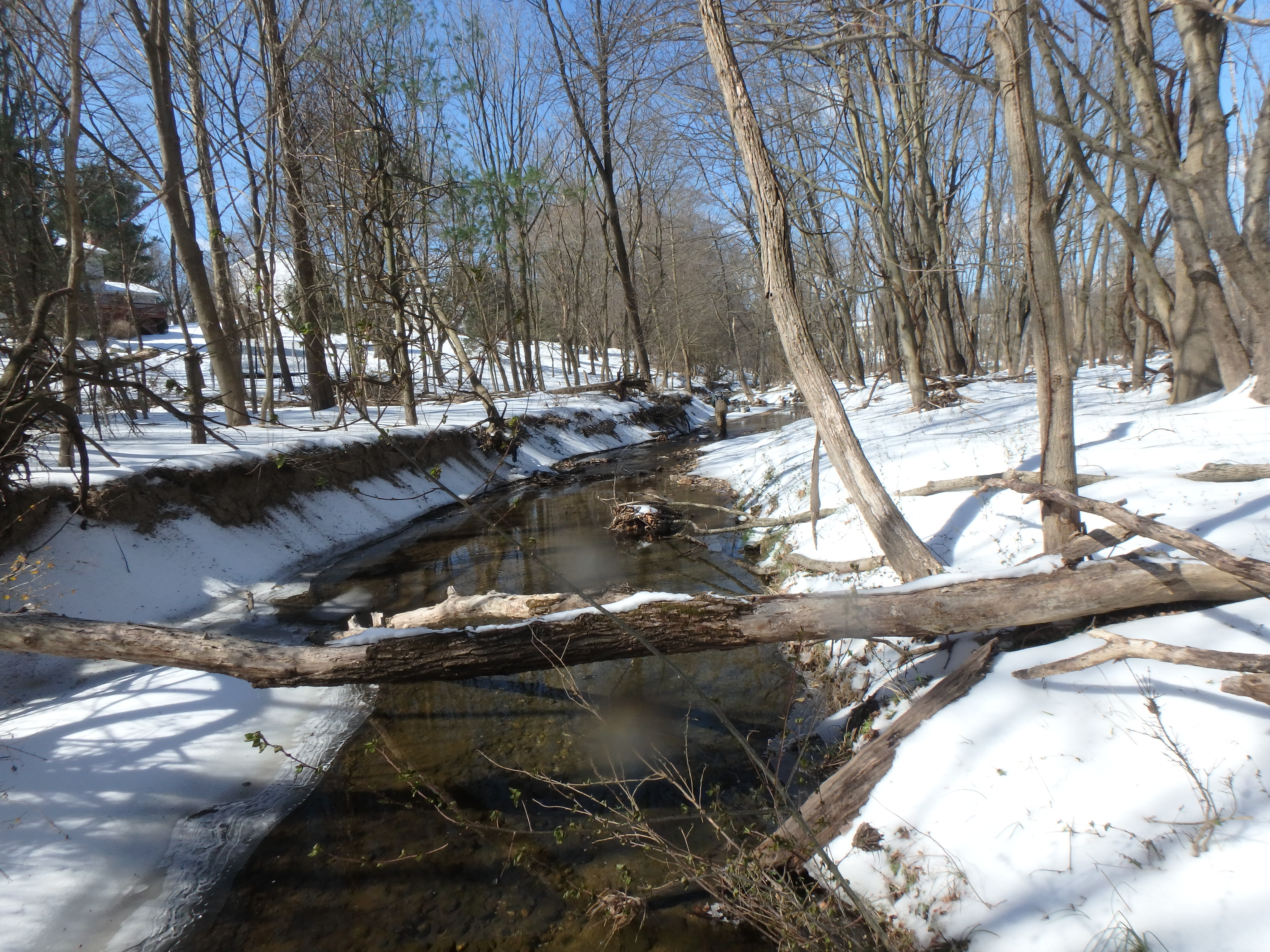 Field photo showing stream conditions at site LPAX-294-X-2017-MidpointLookingDownstream