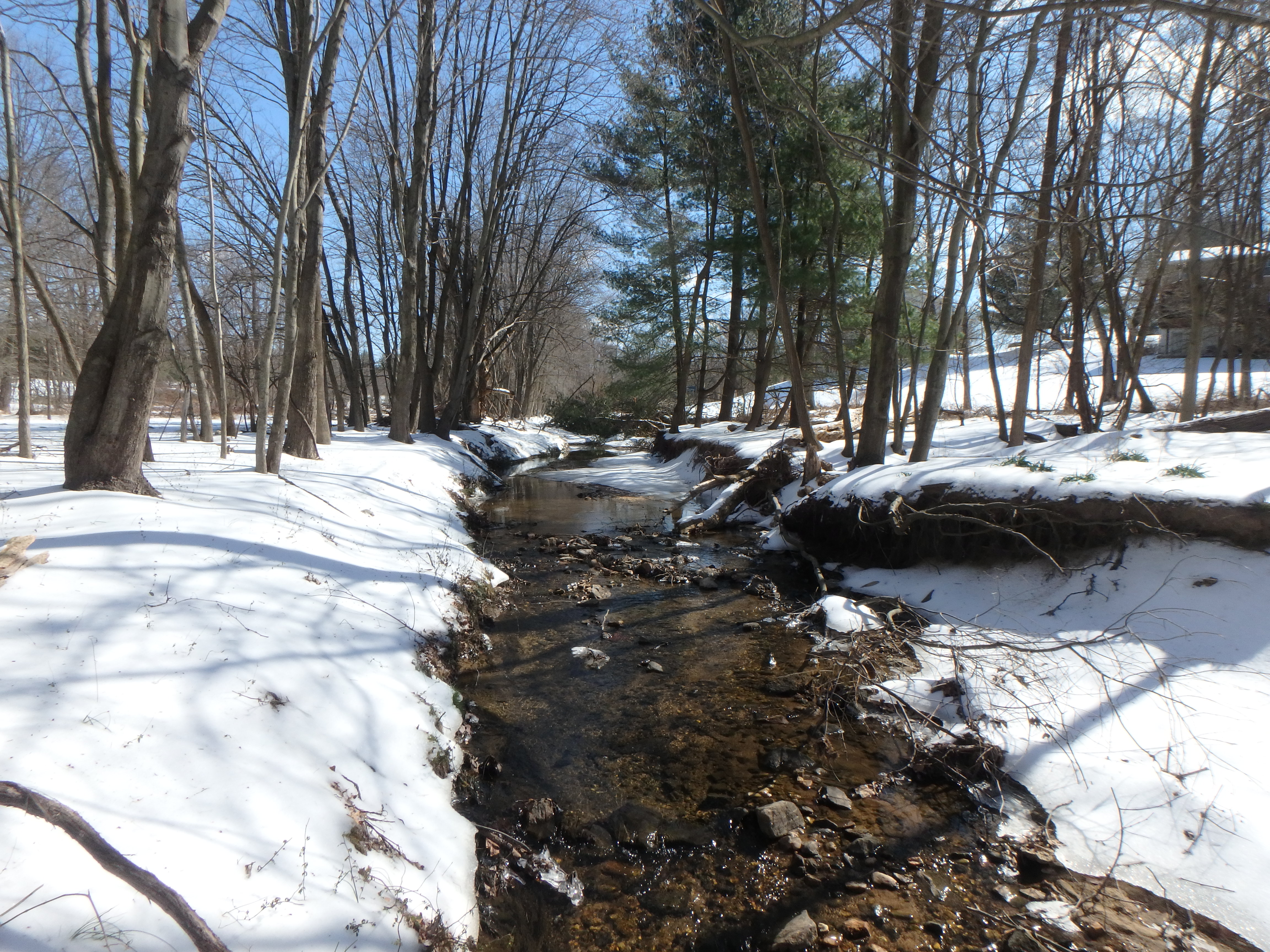 Field photo showing stream conditions at site LPAX-294-X-2017-MidpointLookingUpstream
