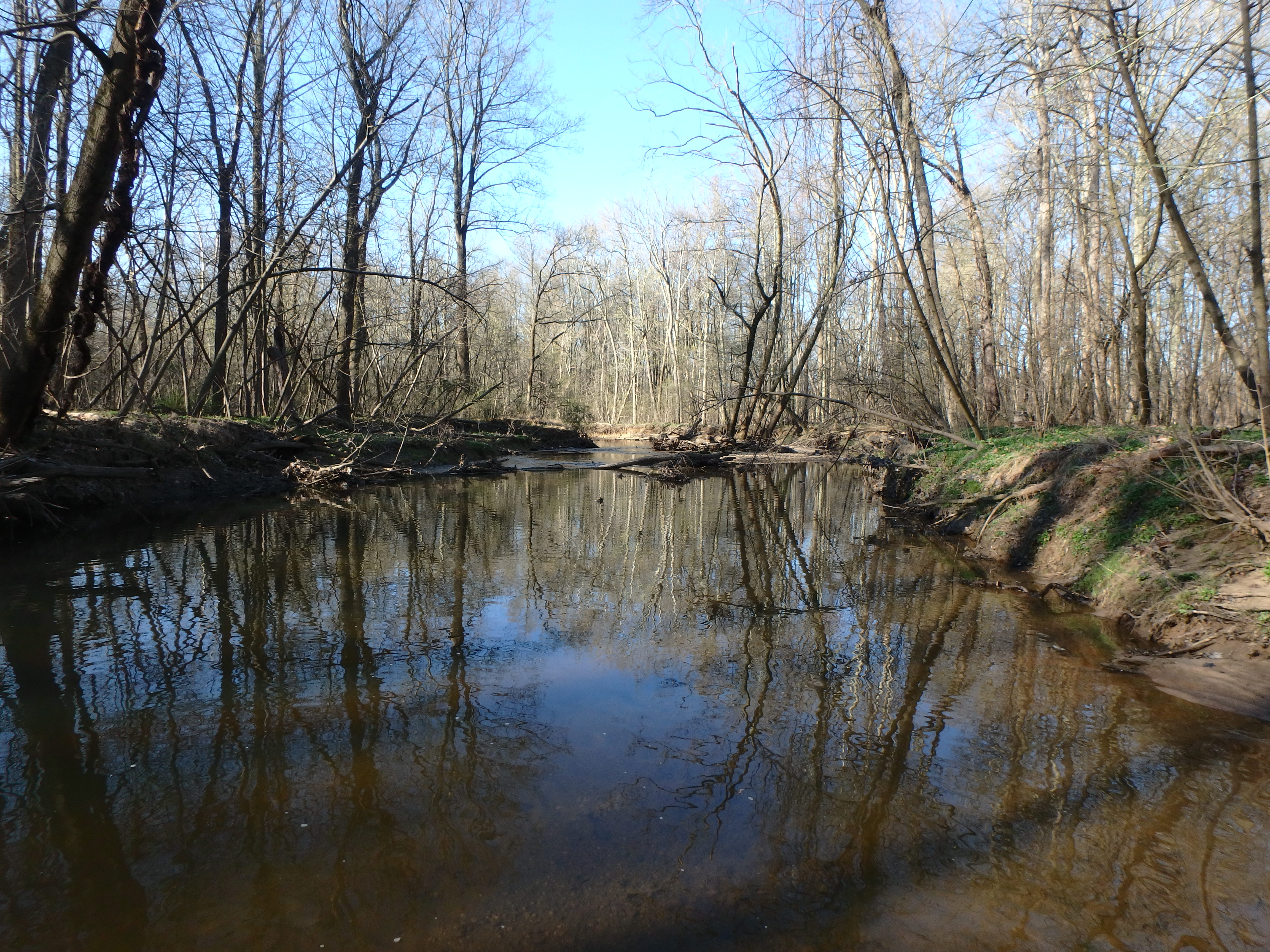 Field photo showing stream conditions at site LPAX-304-R-2017-MidpointLookingDownstream