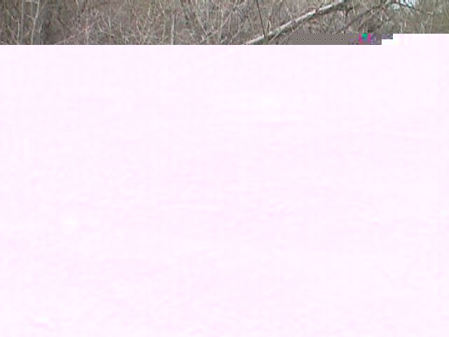 Field photo showing stream conditions at site LPAX-401-R-2000-09_01