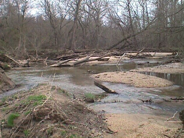 Field photo showing stream conditions at site LPAX-401-R-2000-09_02