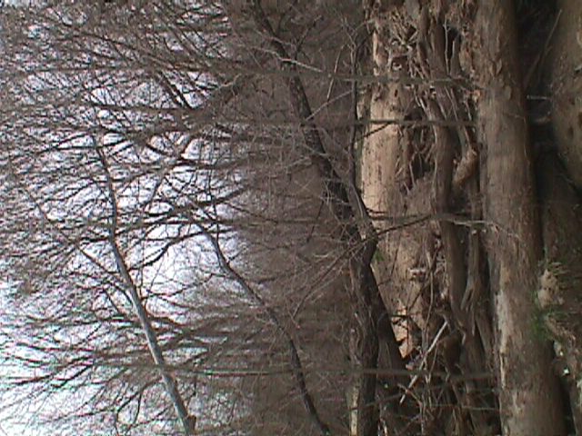 Field photo showing stream conditions at site LPAX-401-R-2000-09_03