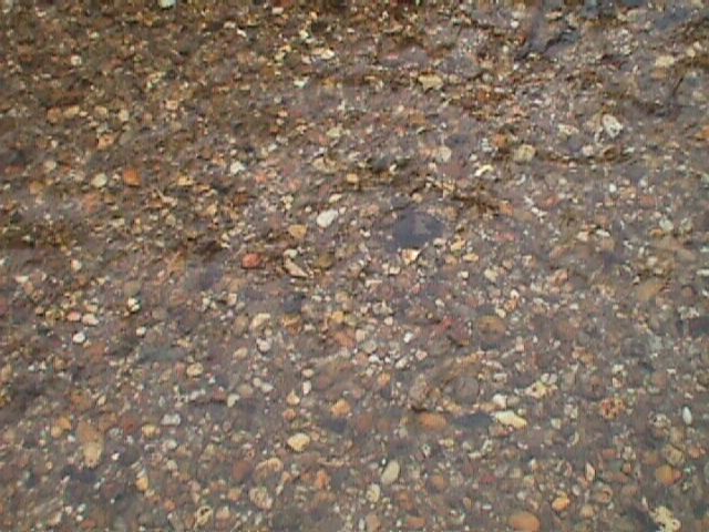Field photo showing stream conditions at site LPAX-408-R-2000-13_15
