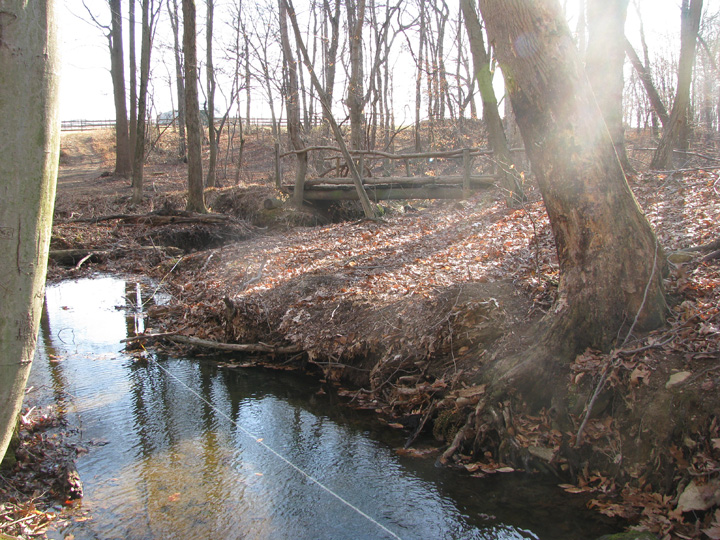 Field photo showing stream conditions at site LSUS-101-R-2009-1
