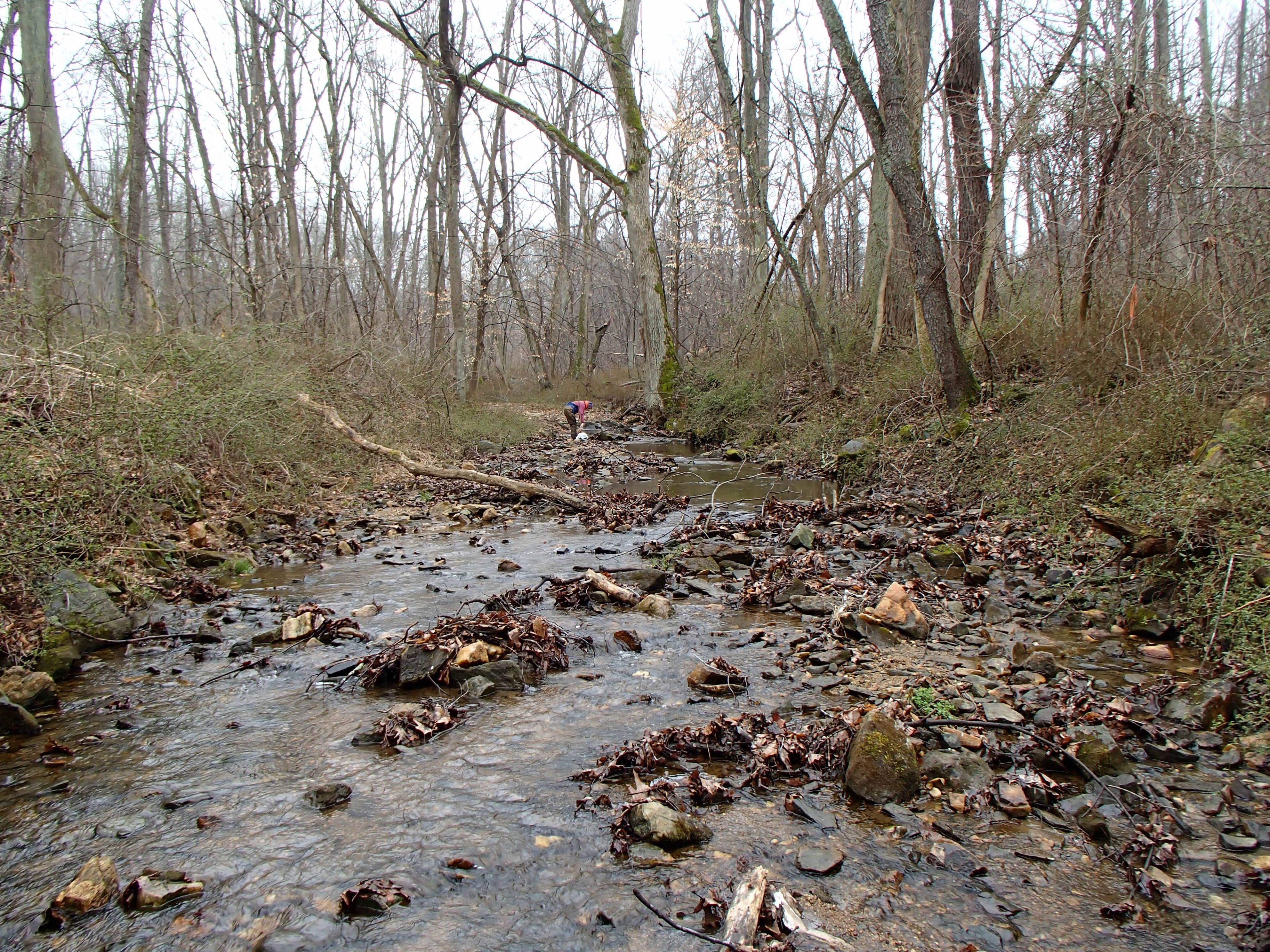 Field photo showing stream conditions at site LSUS-101-R-2017-MidpointFacingUpstream