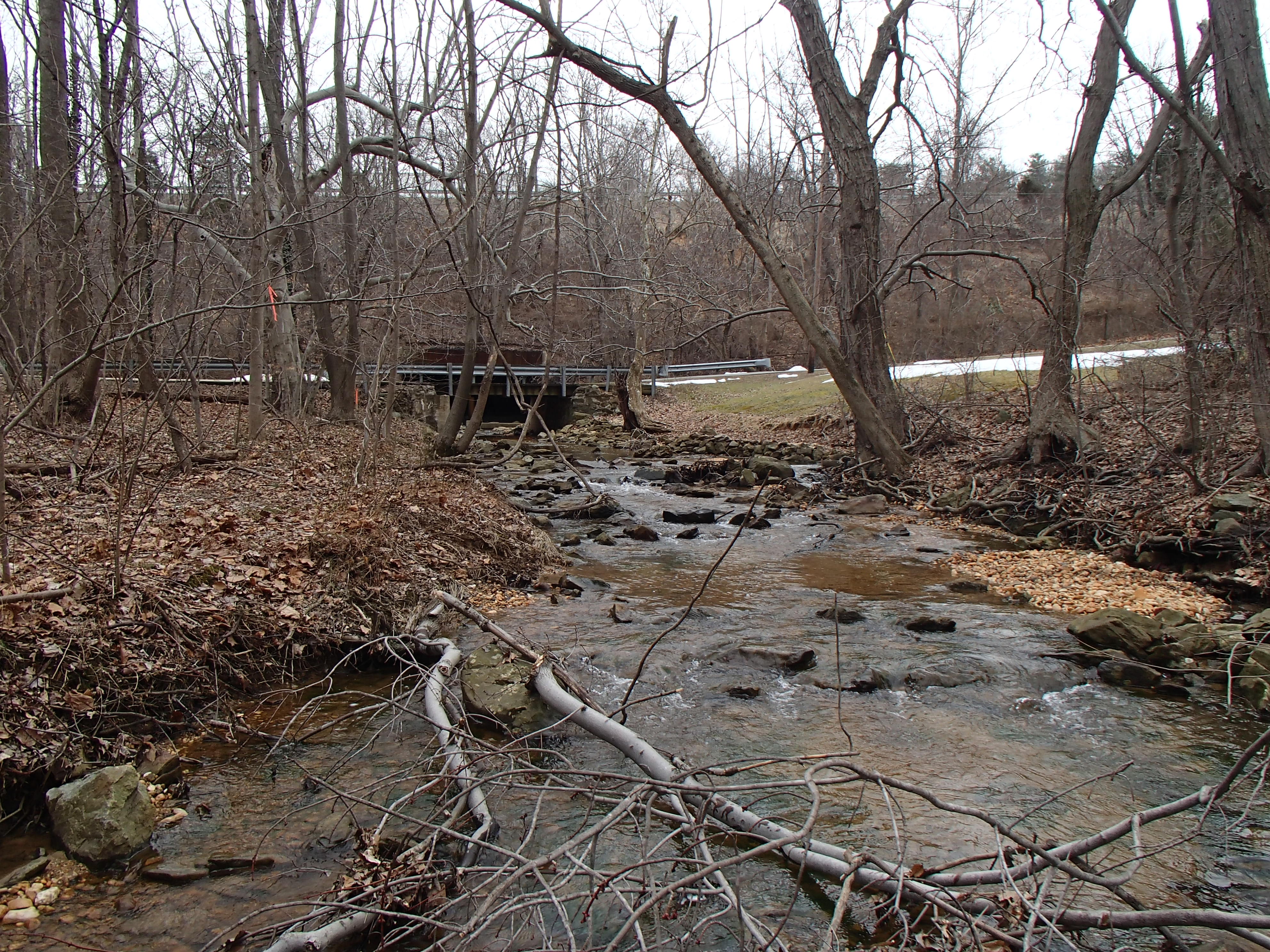Field photo showing stream conditions at site LSUS-102-X-2014-1