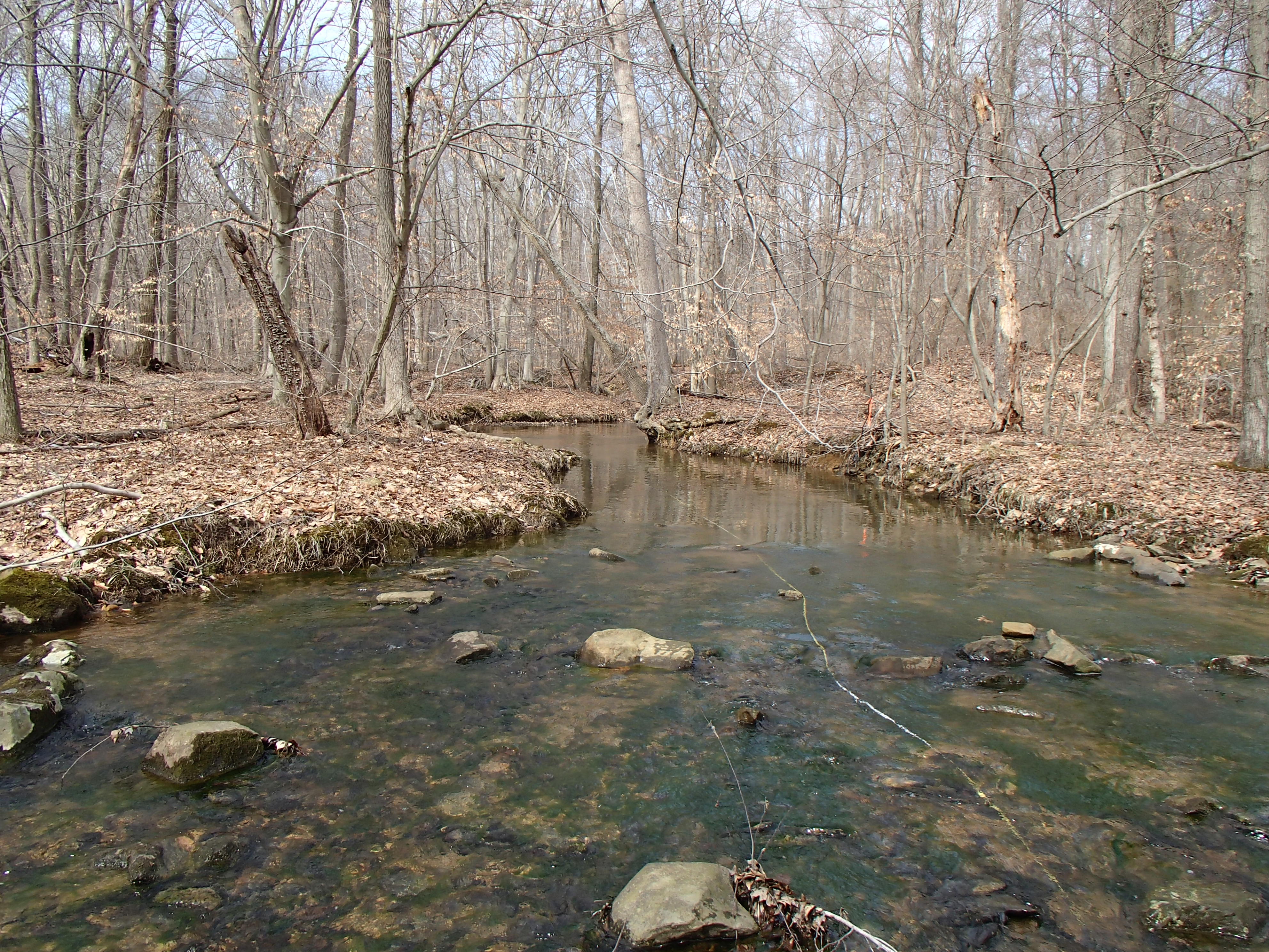 Field photo showing stream conditions at site LSUS-103-X-2014-1