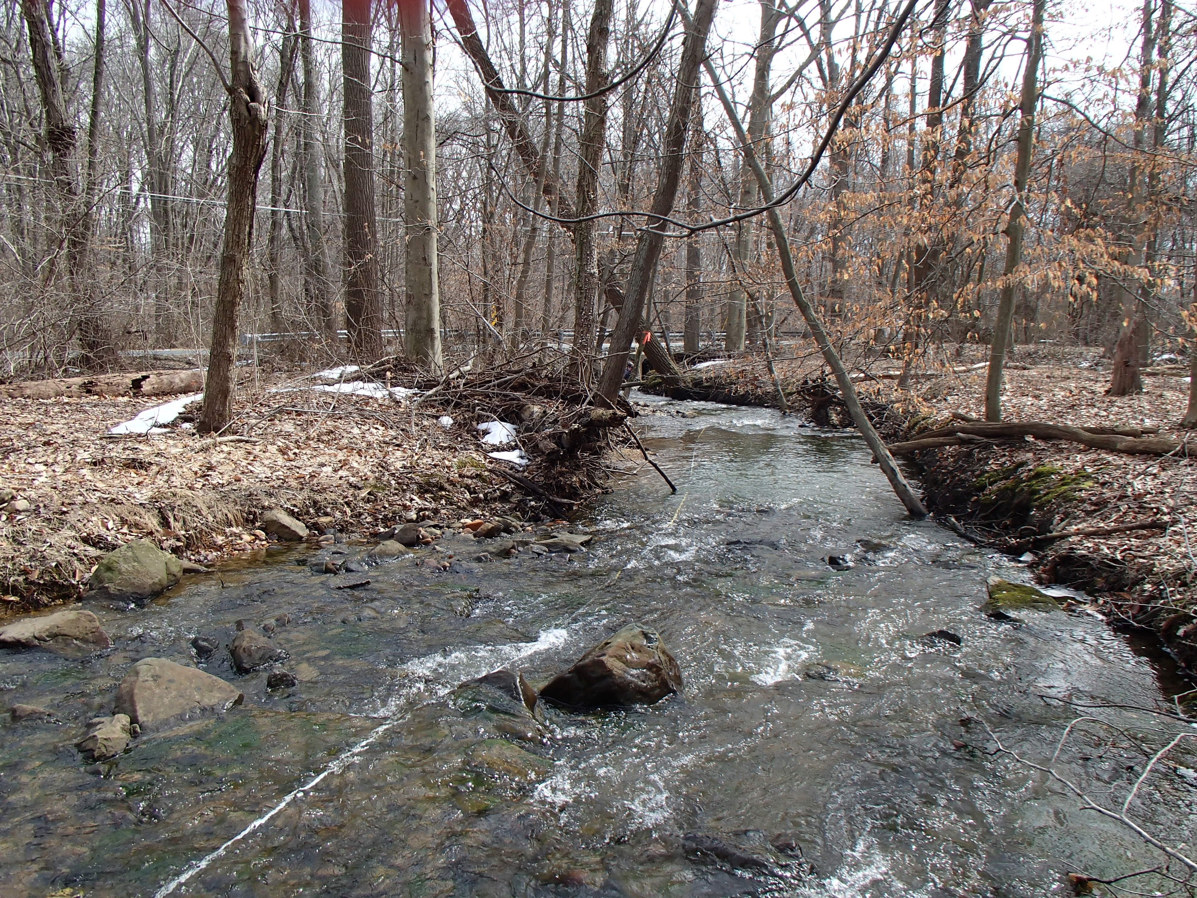 Field photo showing stream conditions at site LSUS-103-X-2014-2