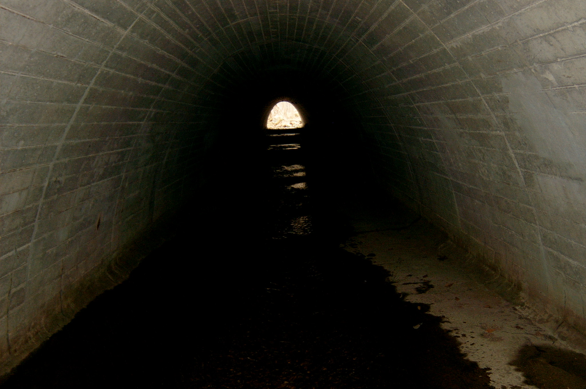 Field photo showing stream conditions at site LSUS-104-R-2004-81