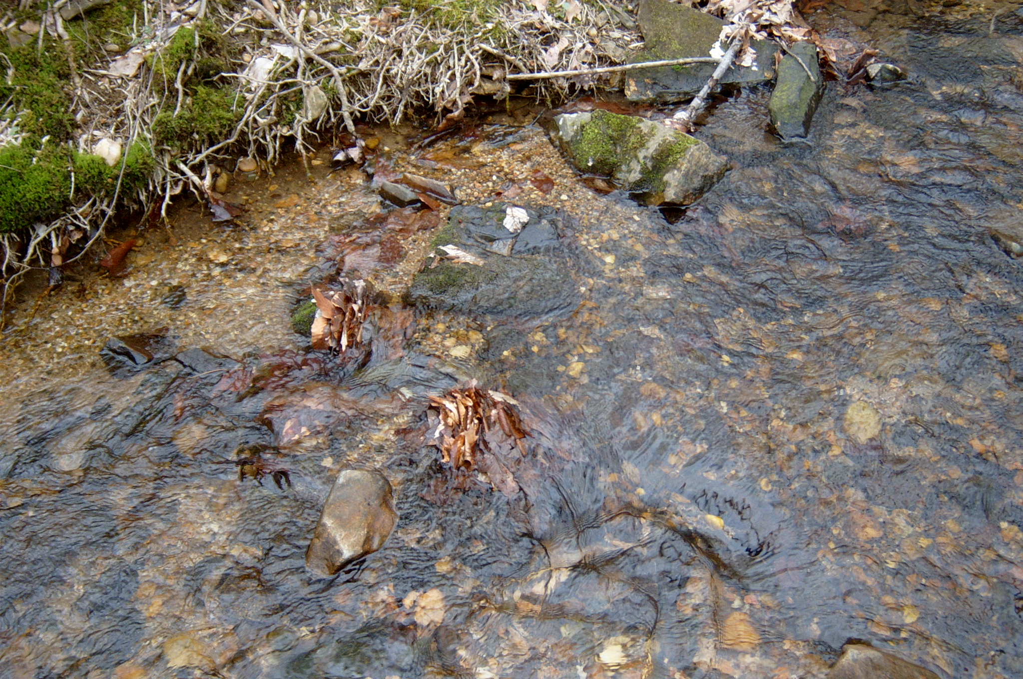 Field photo showing stream conditions at site LSUS-104-R-2004-83