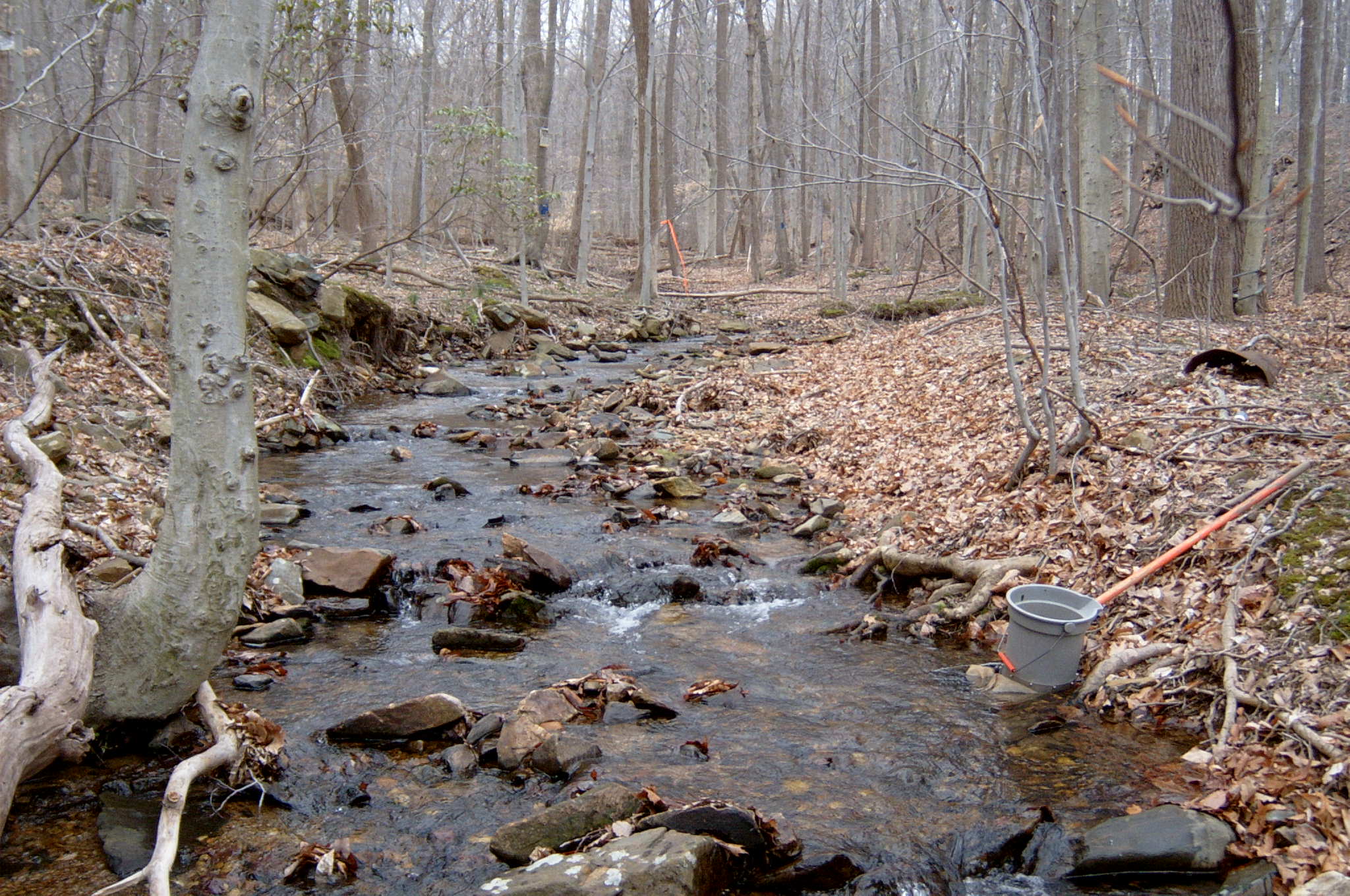 Field photo showing stream conditions at site LSUS-104-R-2004-84