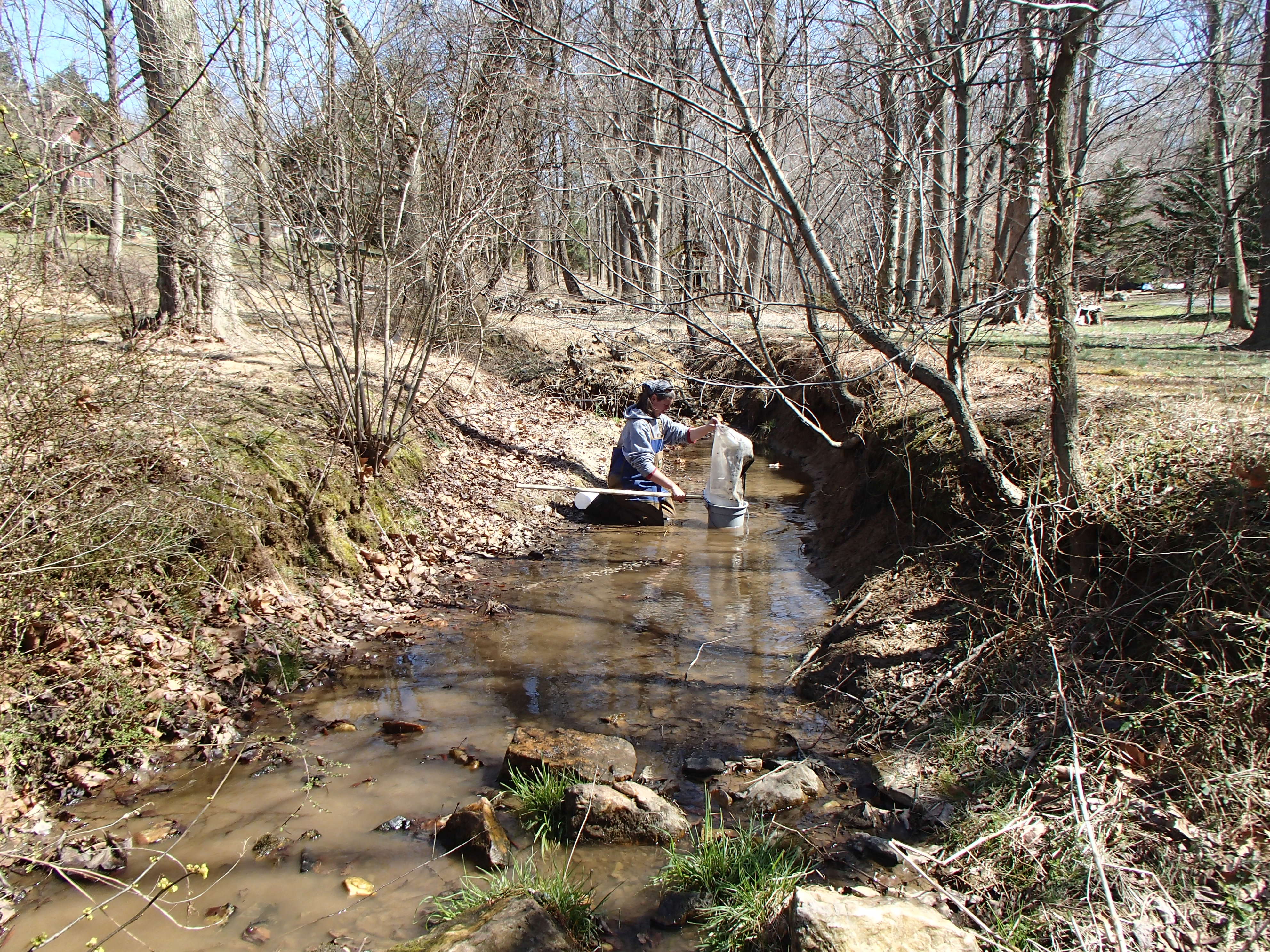 Field photo showing stream conditions at site LSUS-108-R-2017-MidpointFacingUpstream