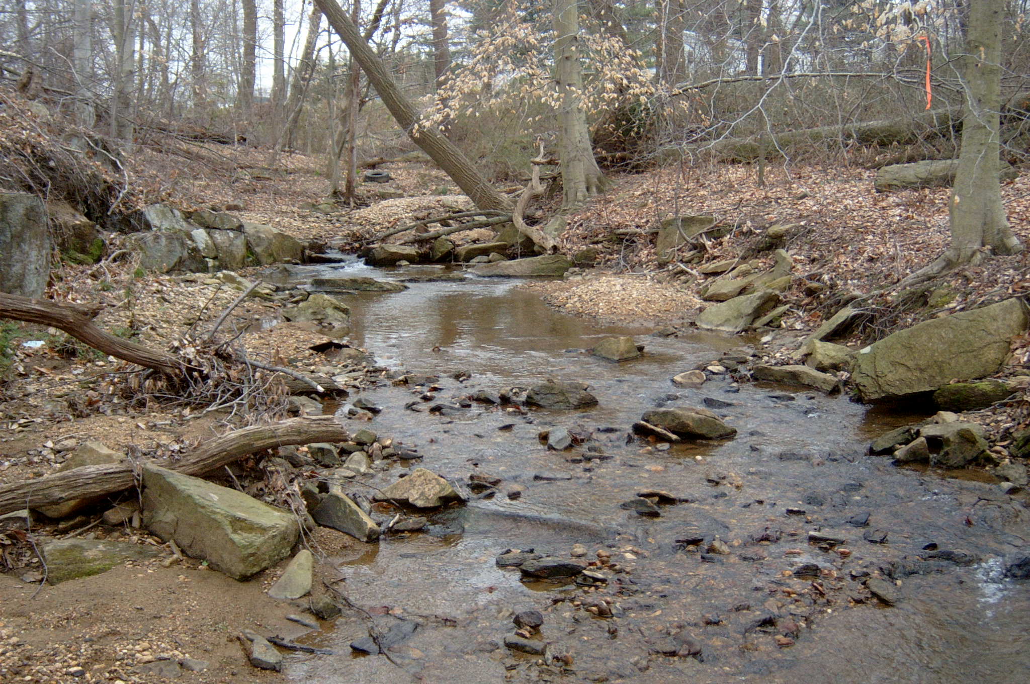 Field photo showing stream conditions at site LSUS-109-R-2004-77