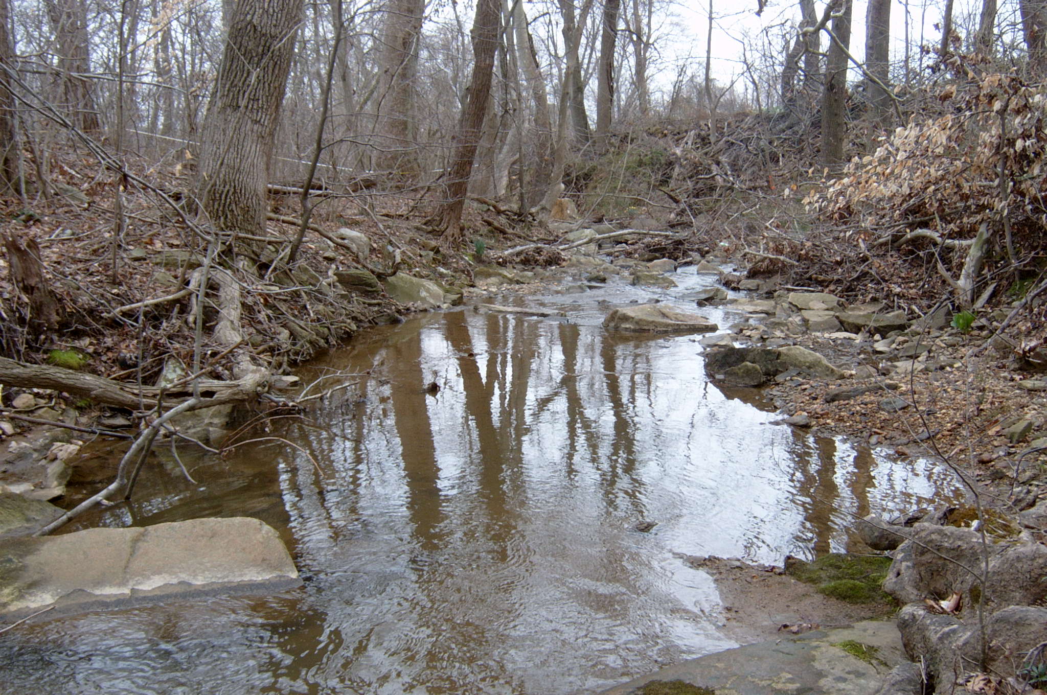 Field photo showing stream conditions at site LSUS-109-R-2004-78
